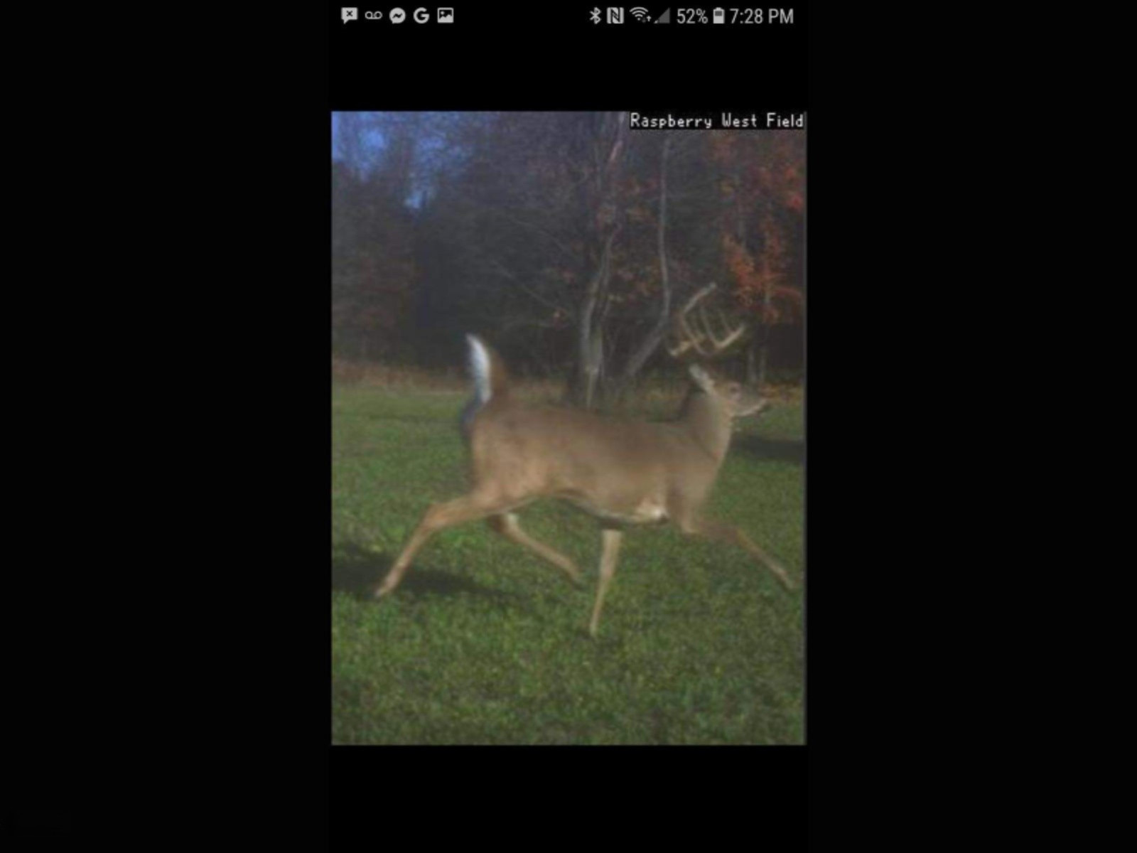 775 Sugar River Road Gladwin, MI 48624 - Photo 120 of 124 124