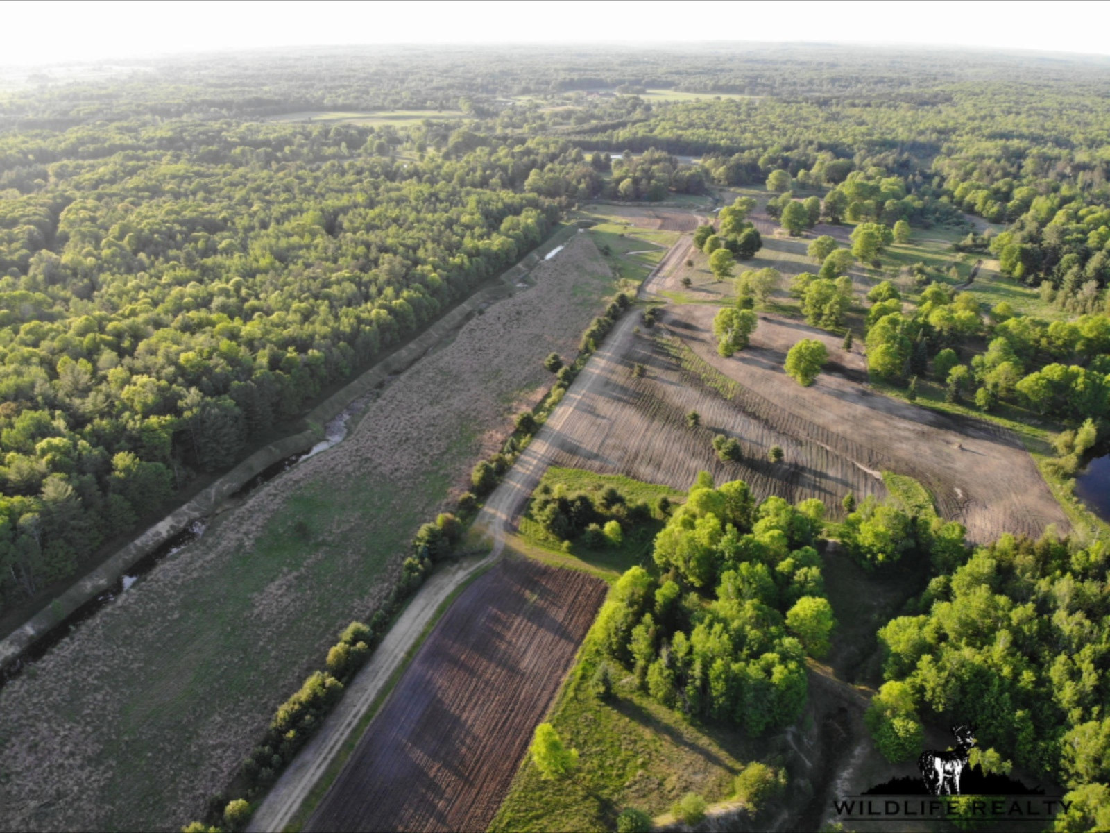 775 Sugar River Road Gladwin, MI 48624 - Photo 12 of 124 11