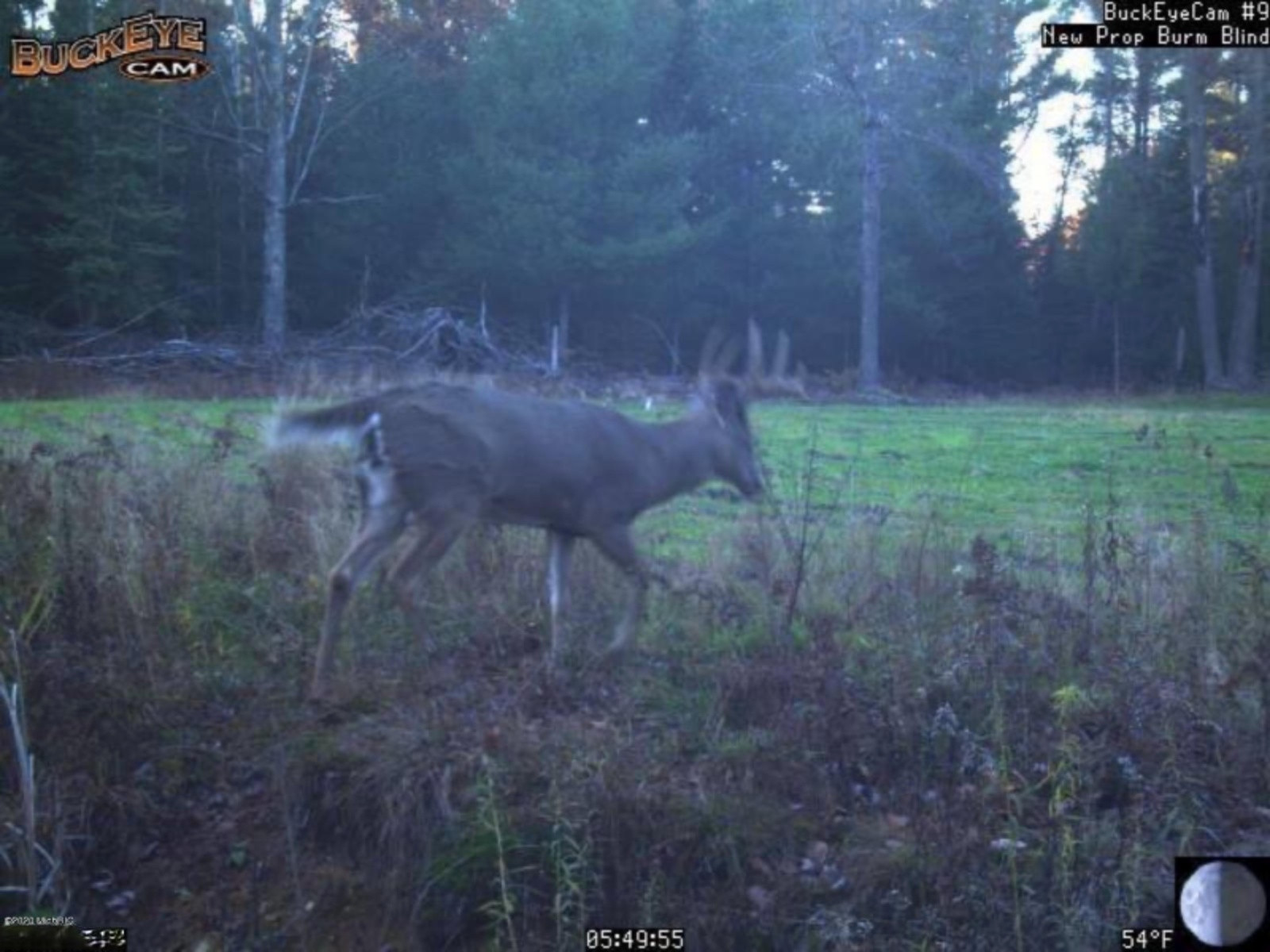775 Sugar River Road Gladwin, MI 48624 - Photo 122 of 124 126