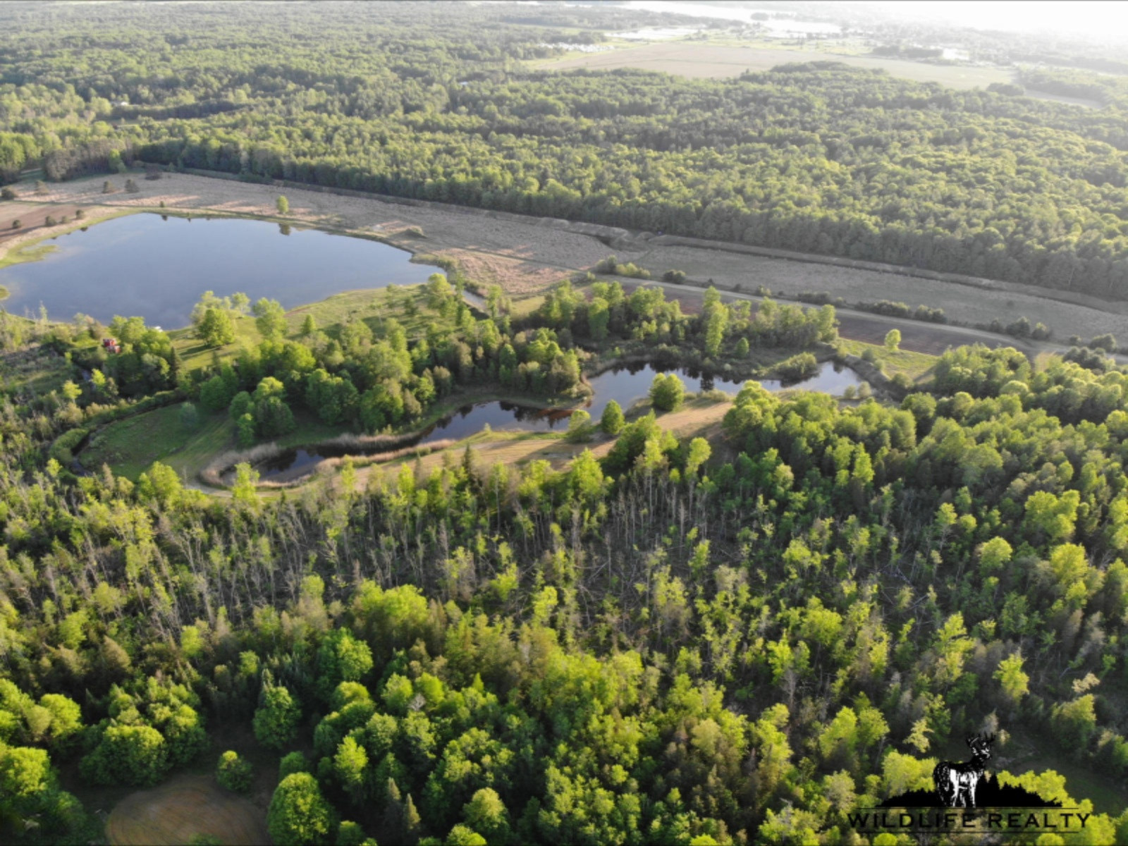 775 Sugar River Road Gladwin, MI 48624 - Photo 16 of 124 15