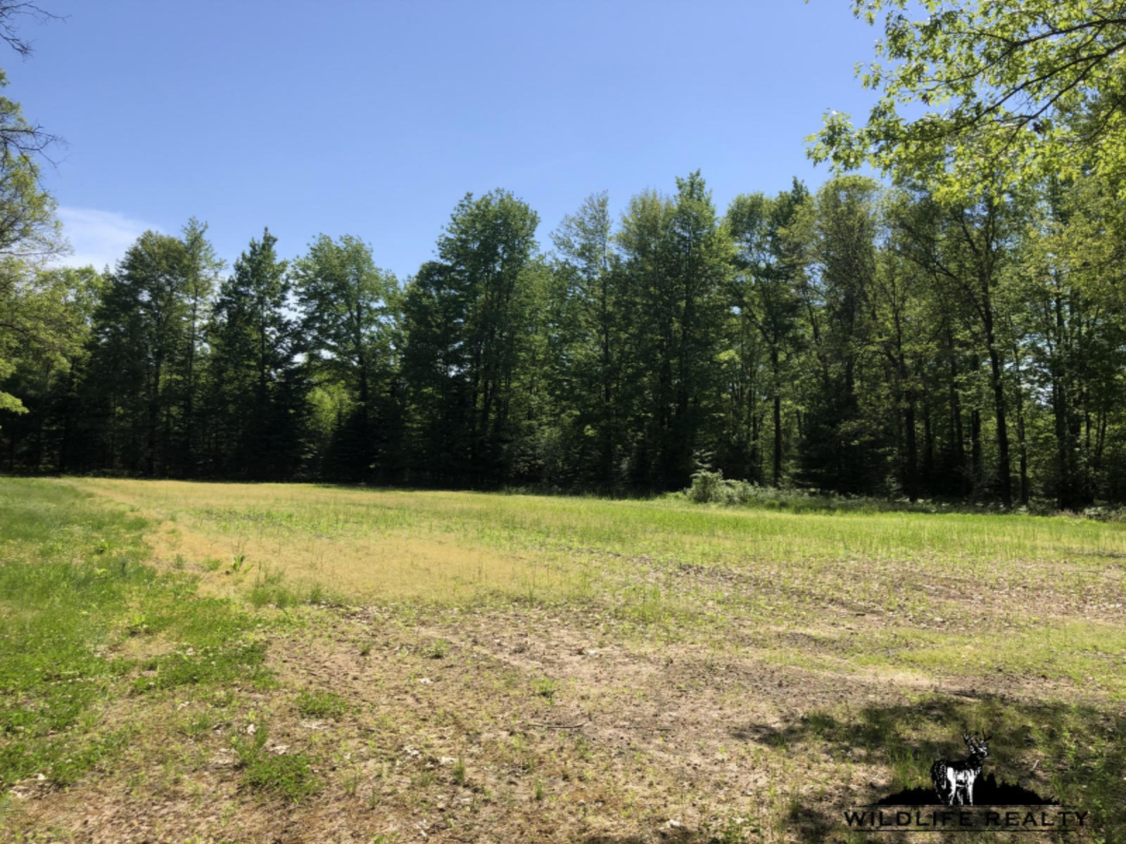 775 Sugar River Road Gladwin, MI 48624 - Photo 18 of 124 17