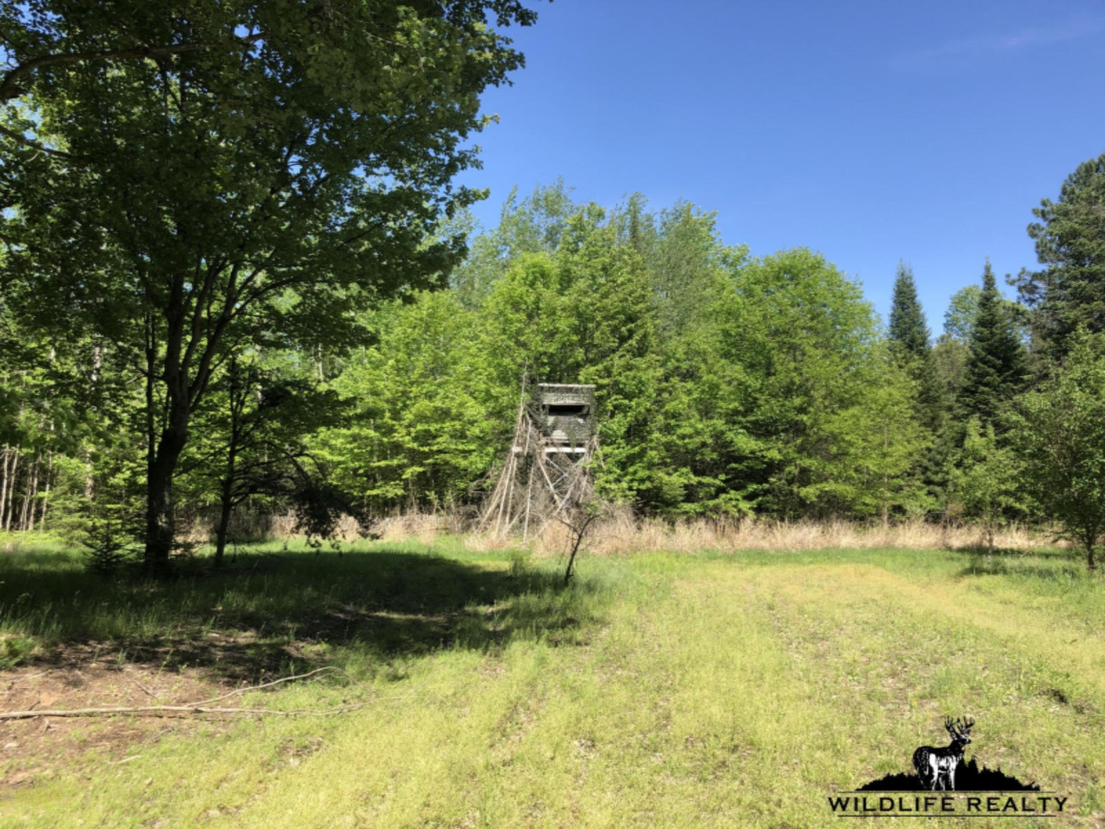 775 Sugar River Road Gladwin, MI 48624 - Photo 19 of 124 18
