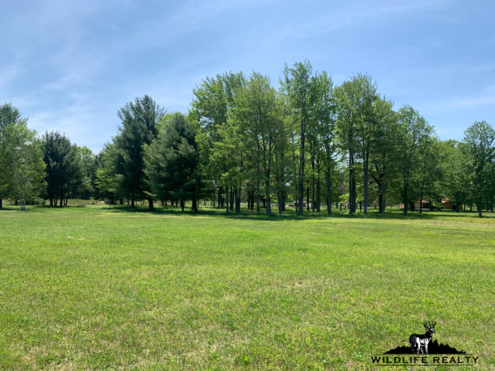 775 Sugar River Road Gladwin, MI 48624 - Photo 20 of 124 19
