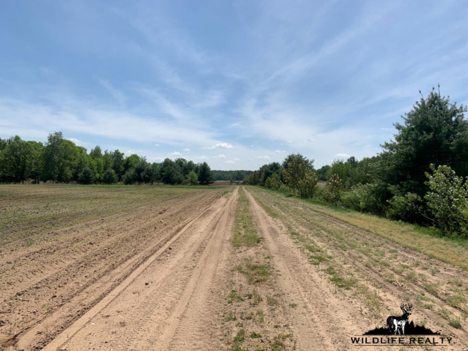 775 Sugar River Road Gladwin, MI 48624 - Photo 21 of 124 20
