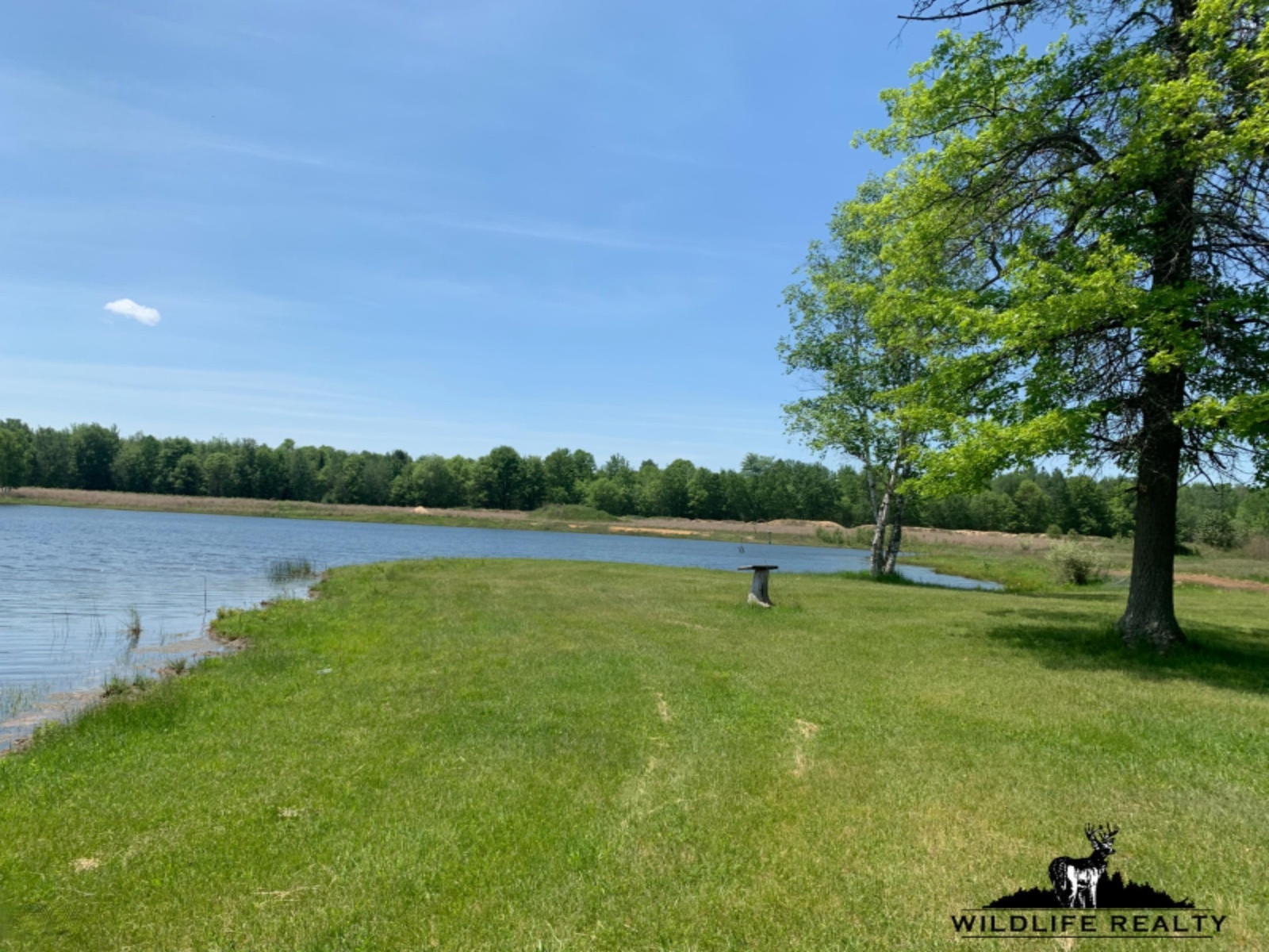775 Sugar River Road Gladwin, MI 48624 - Photo 23 of 124 22