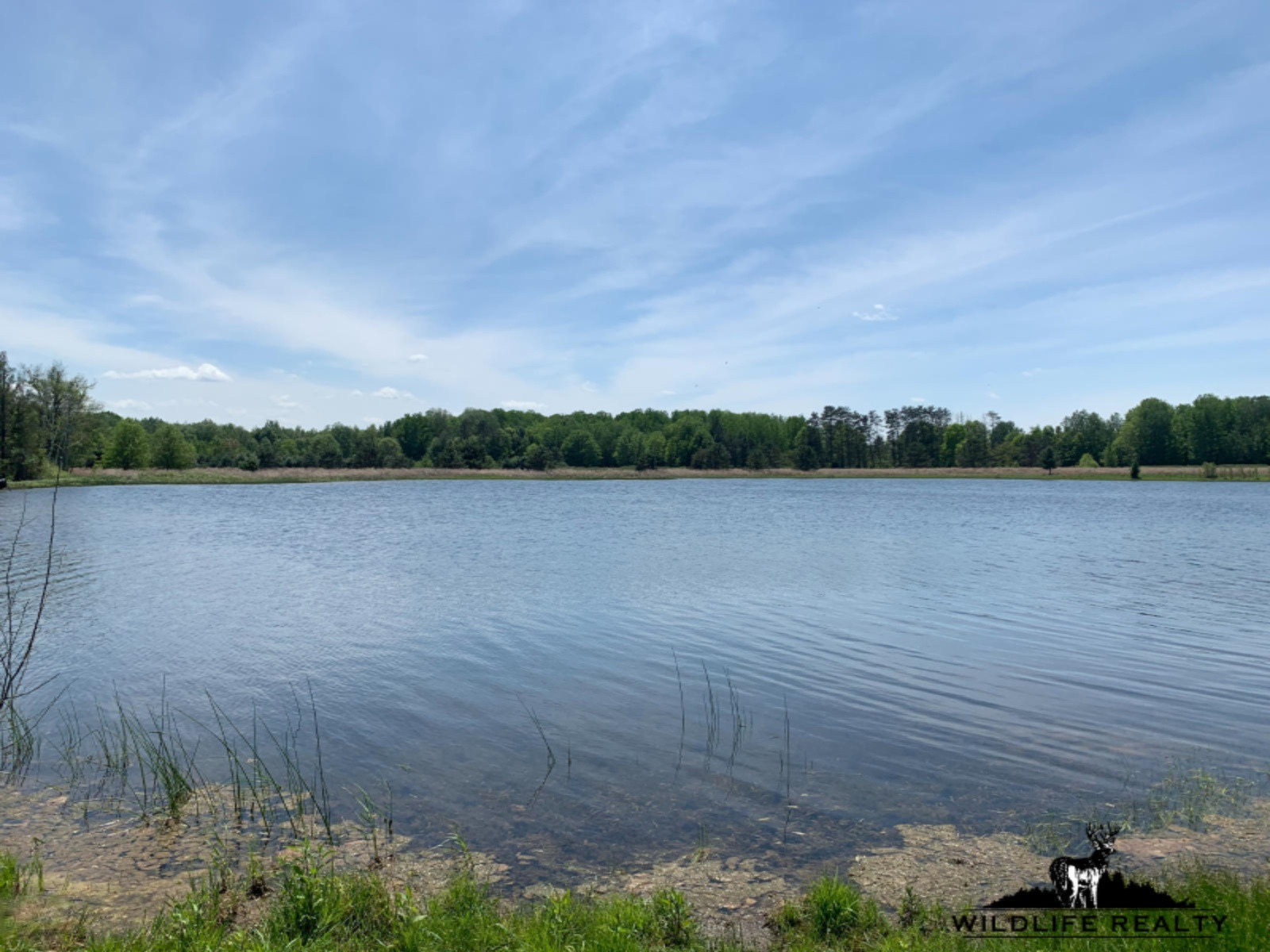 775 Sugar River Road Gladwin, MI 48624 - Photo 24 of 124 23