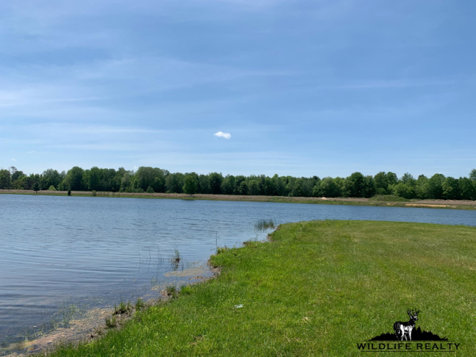 775 Sugar River Road Gladwin, MI 48624 - Photo 25 of 124 24