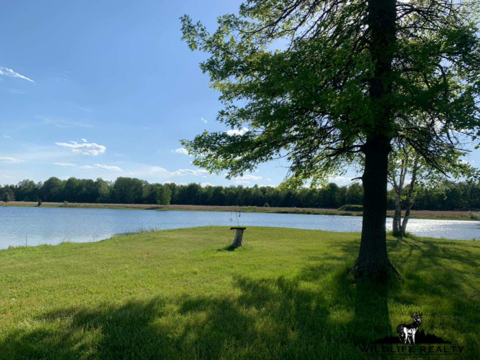 775 Sugar River Road Gladwin, MI 48624 - Photo 30 of 124 28