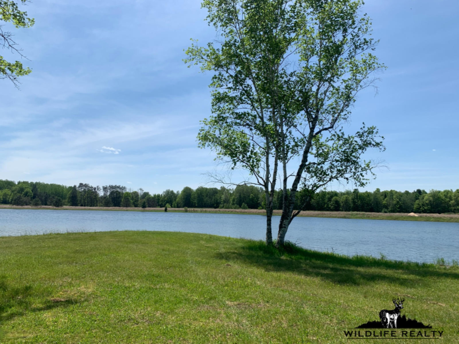 775 Sugar River Road Gladwin, MI 48624 - Photo 3 of 124 2