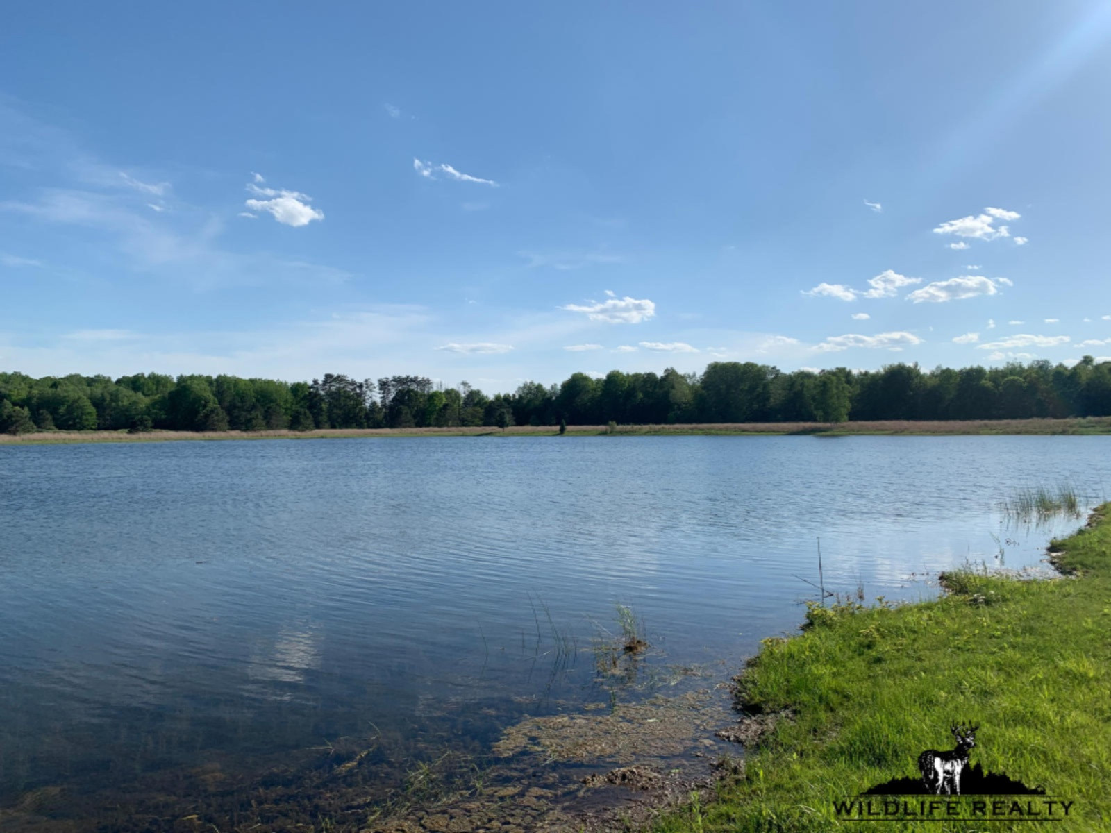 775 Sugar River Road Gladwin, MI 48624 - Photo 31 of 124 29
