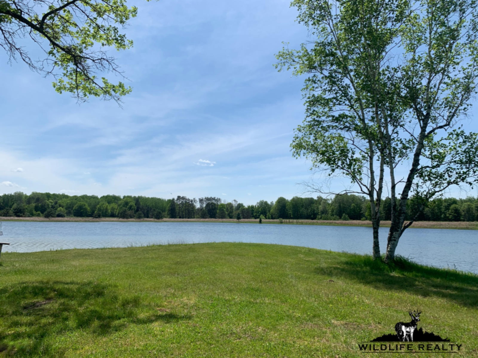 775 Sugar River Road Gladwin, MI 48624 - Photo 32 of 124 30.1