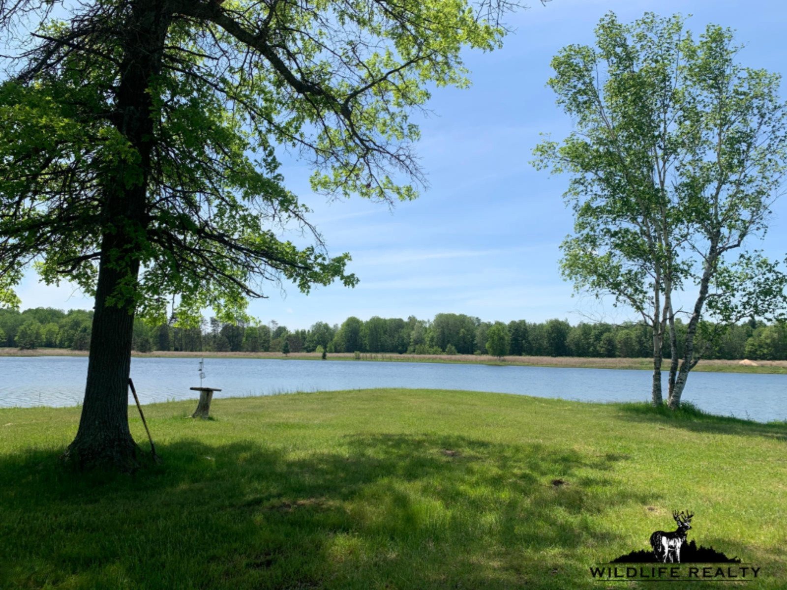 775 Sugar River Road Gladwin, MI 48624 - Photo 33 of 124 30