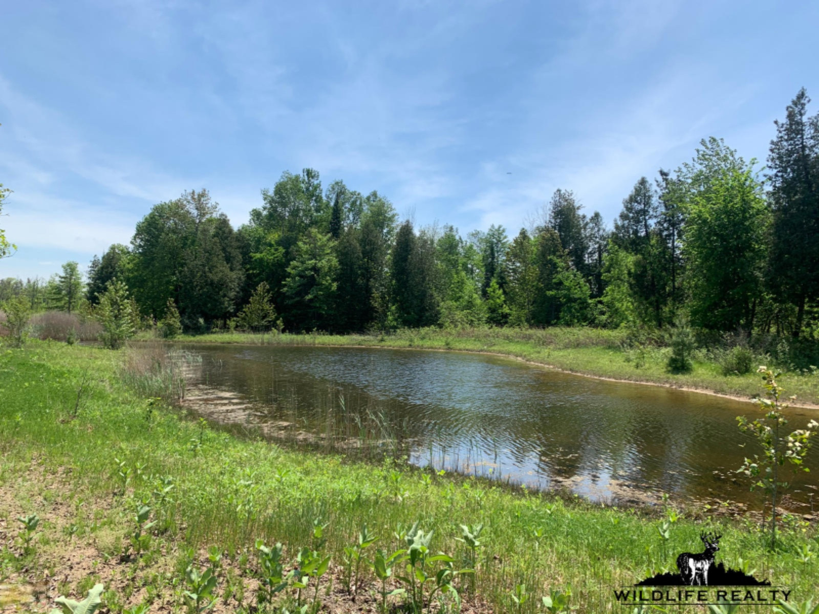 775 Sugar River Road Gladwin, MI 48624 - Photo 35 of 124 32
