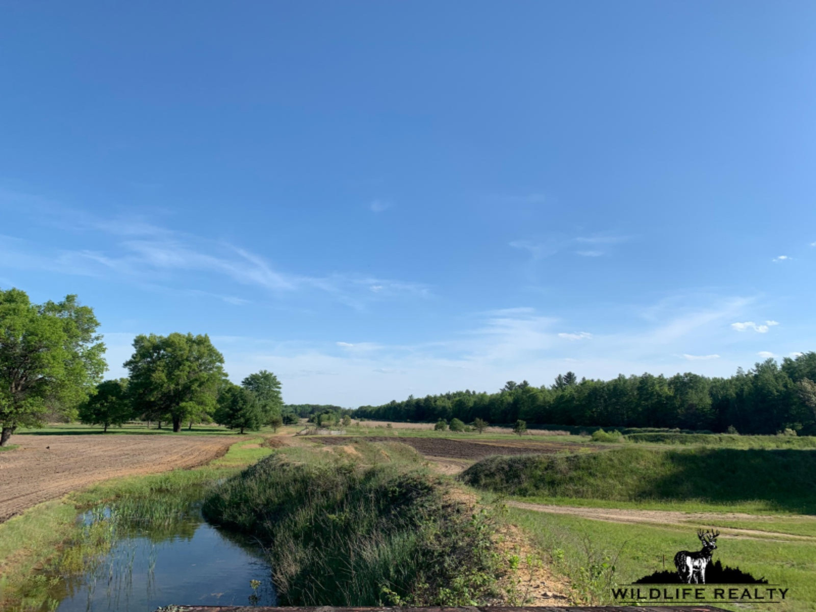 775 Sugar River Road Gladwin, MI 48624 - Photo 36 of 124 33