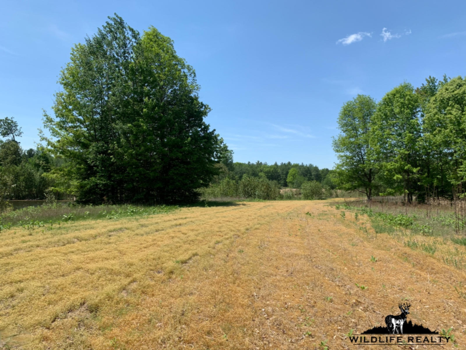 775 Sugar River Road Gladwin, MI 48624 - Photo 37 of 124 34
