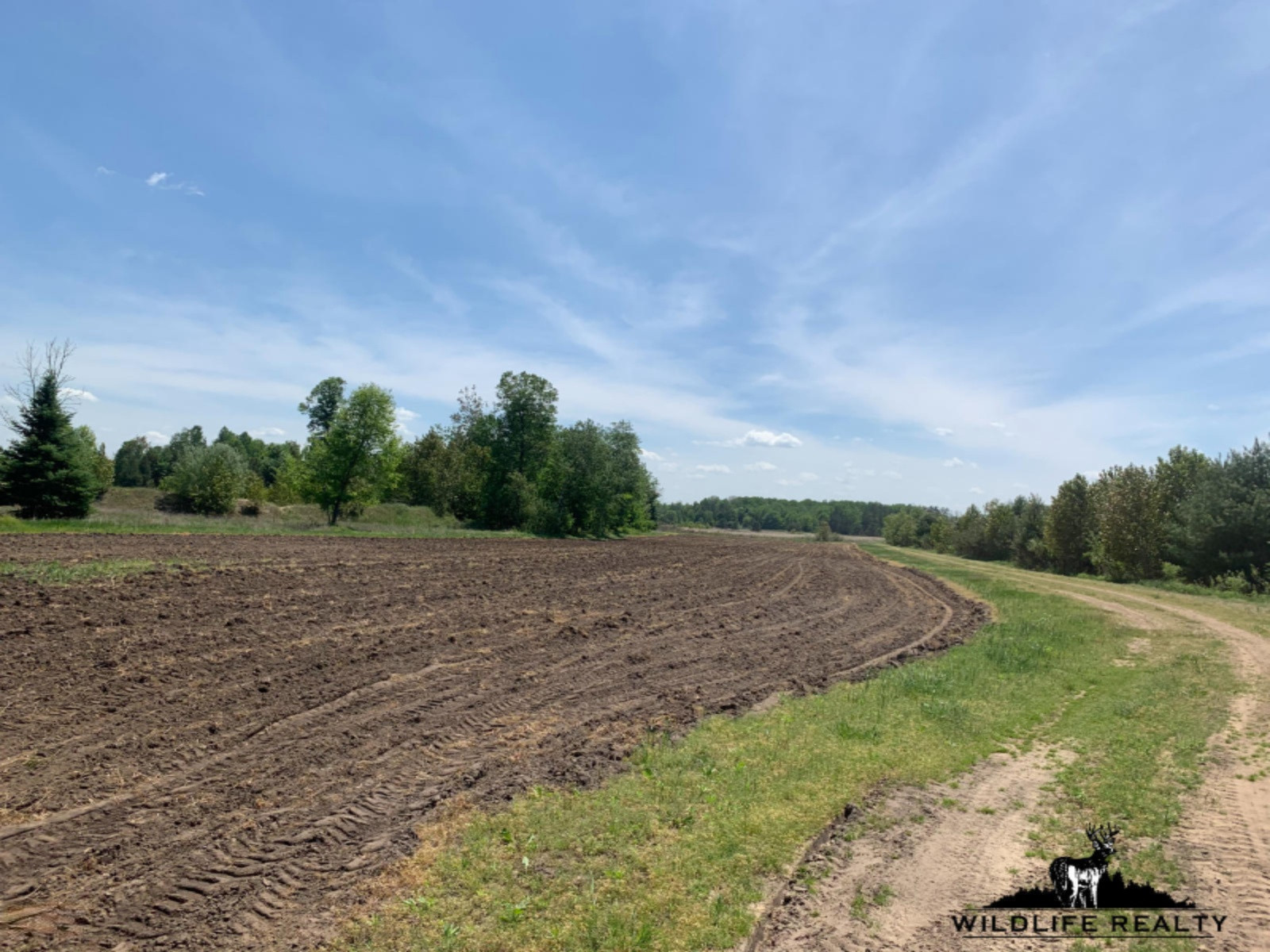 775 Sugar River Road Gladwin, MI 48624 - Photo 38 of 124 35