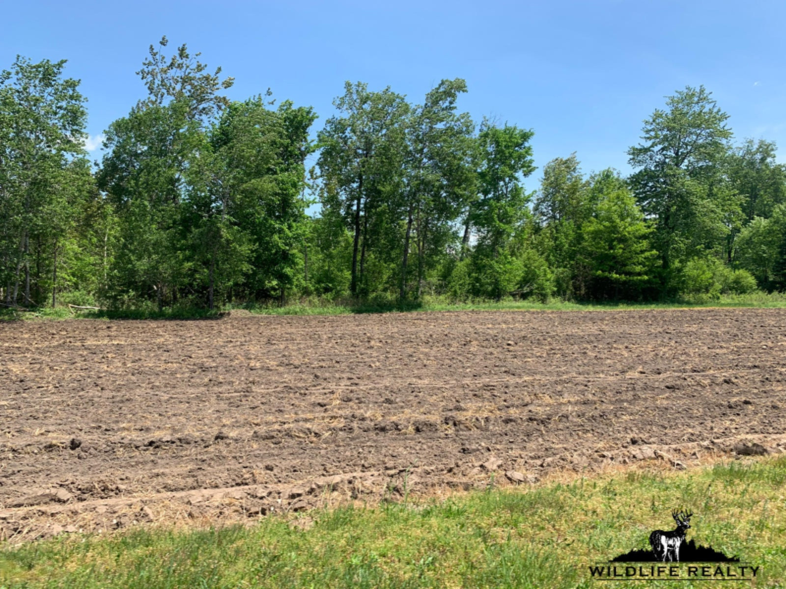 775 Sugar River Road Gladwin, MI 48624 - Photo 39 of 124 36