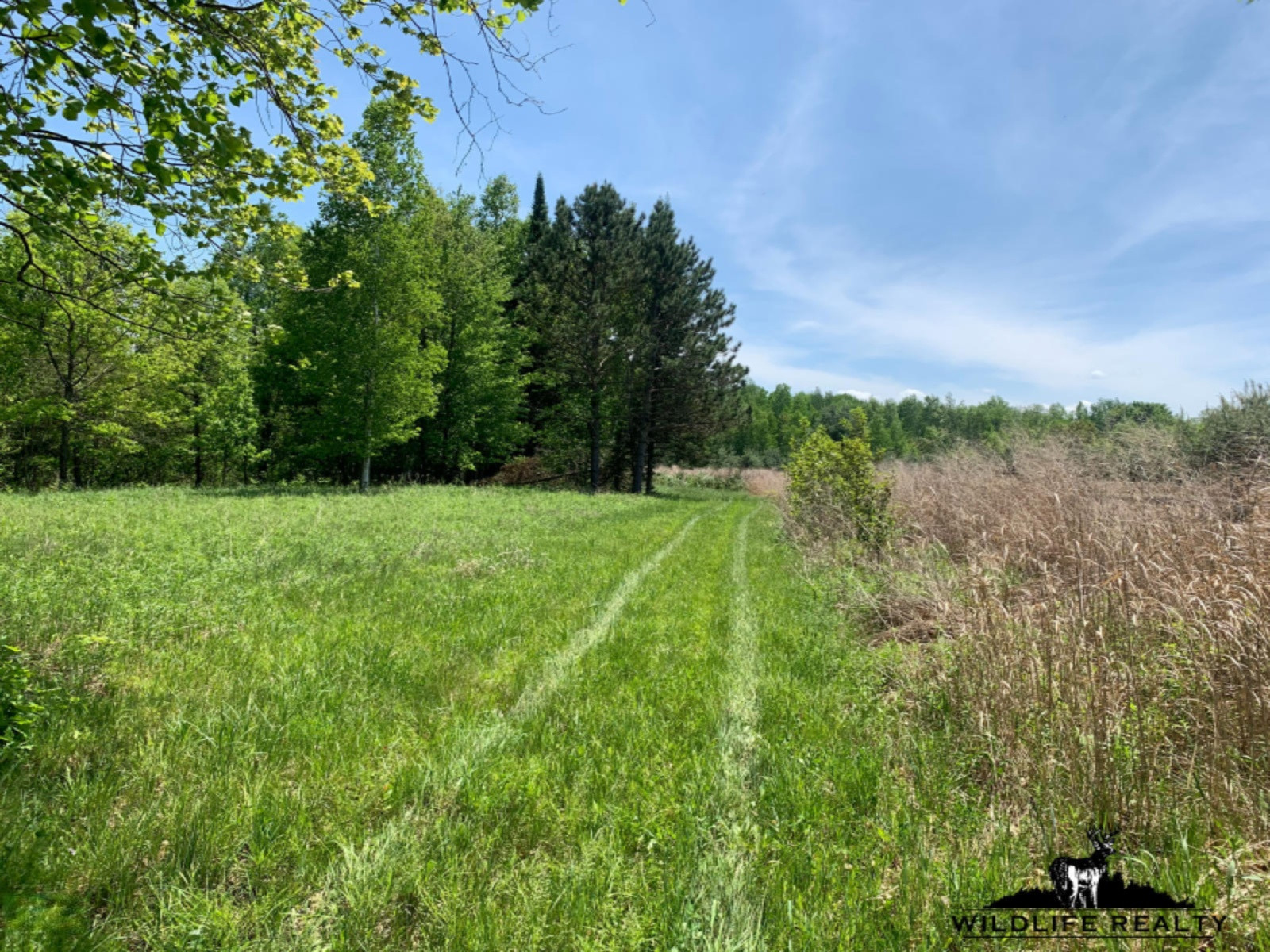 775 Sugar River Road Gladwin, MI 48624 - Photo 40 of 124 37