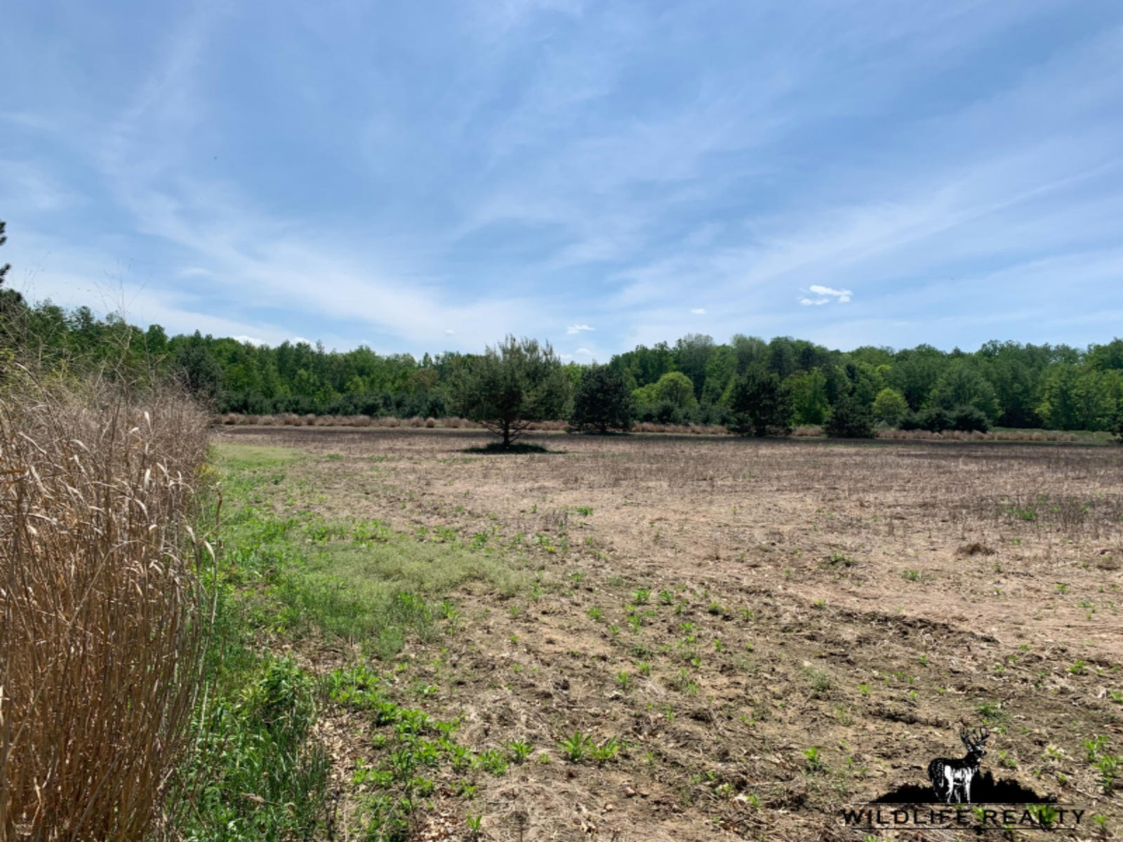 775 Sugar River Road Gladwin, MI 48624 - Photo 41 of 124 38