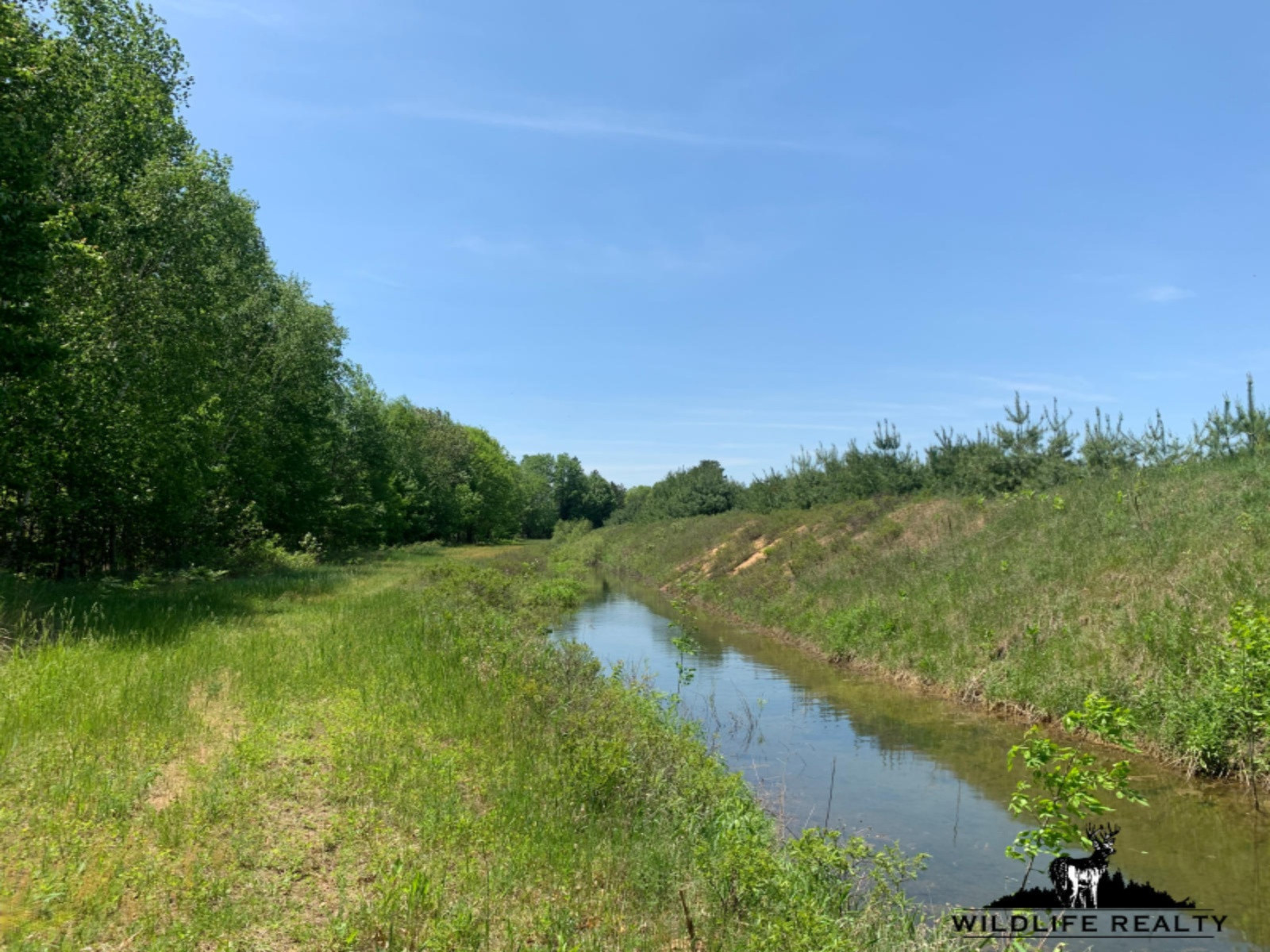 775 Sugar River Road Gladwin, MI 48624 - Photo 42 of 124 39
