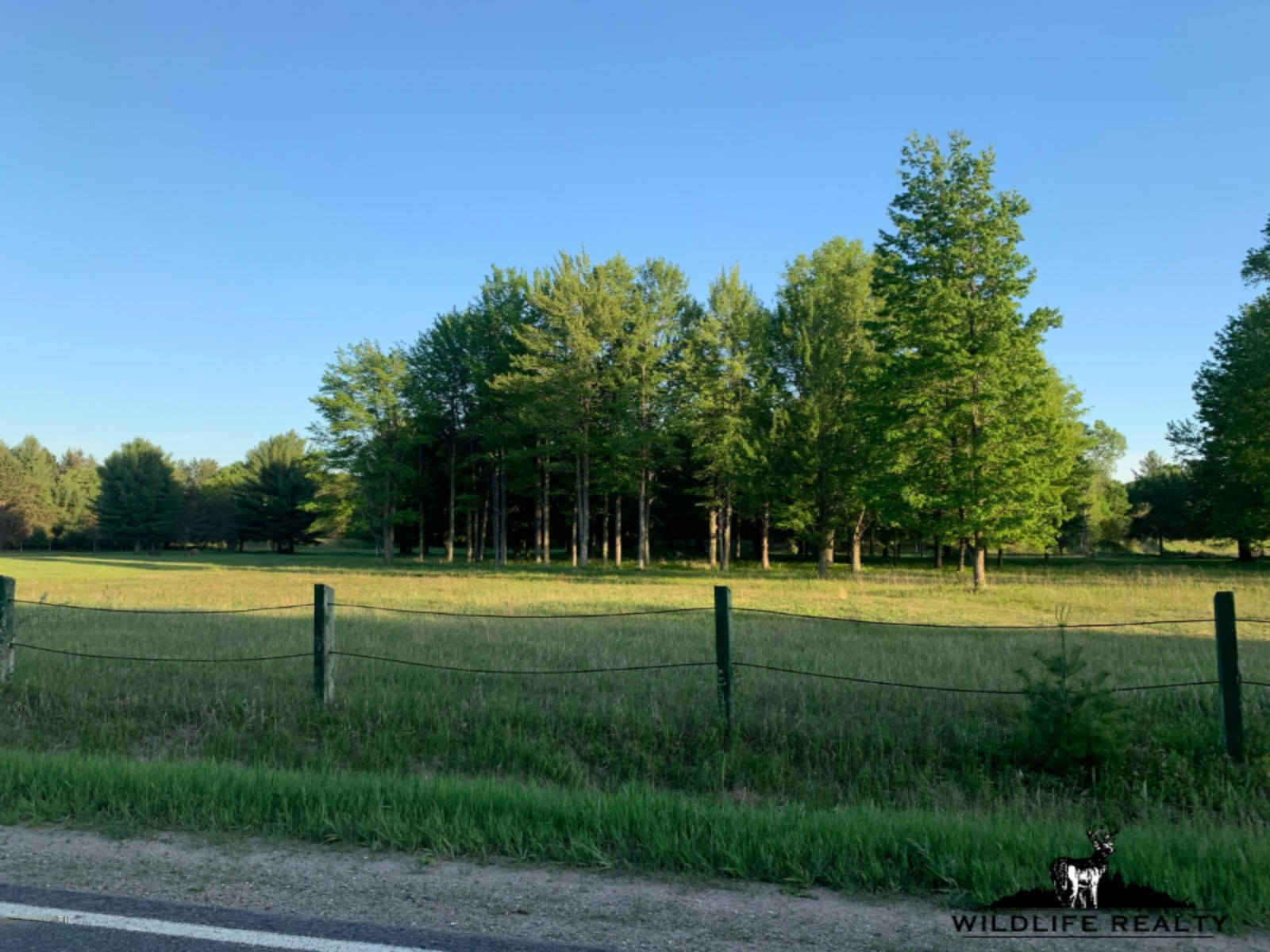 775 Sugar River Road Gladwin, MI 48624 - Photo 45 of 124 48