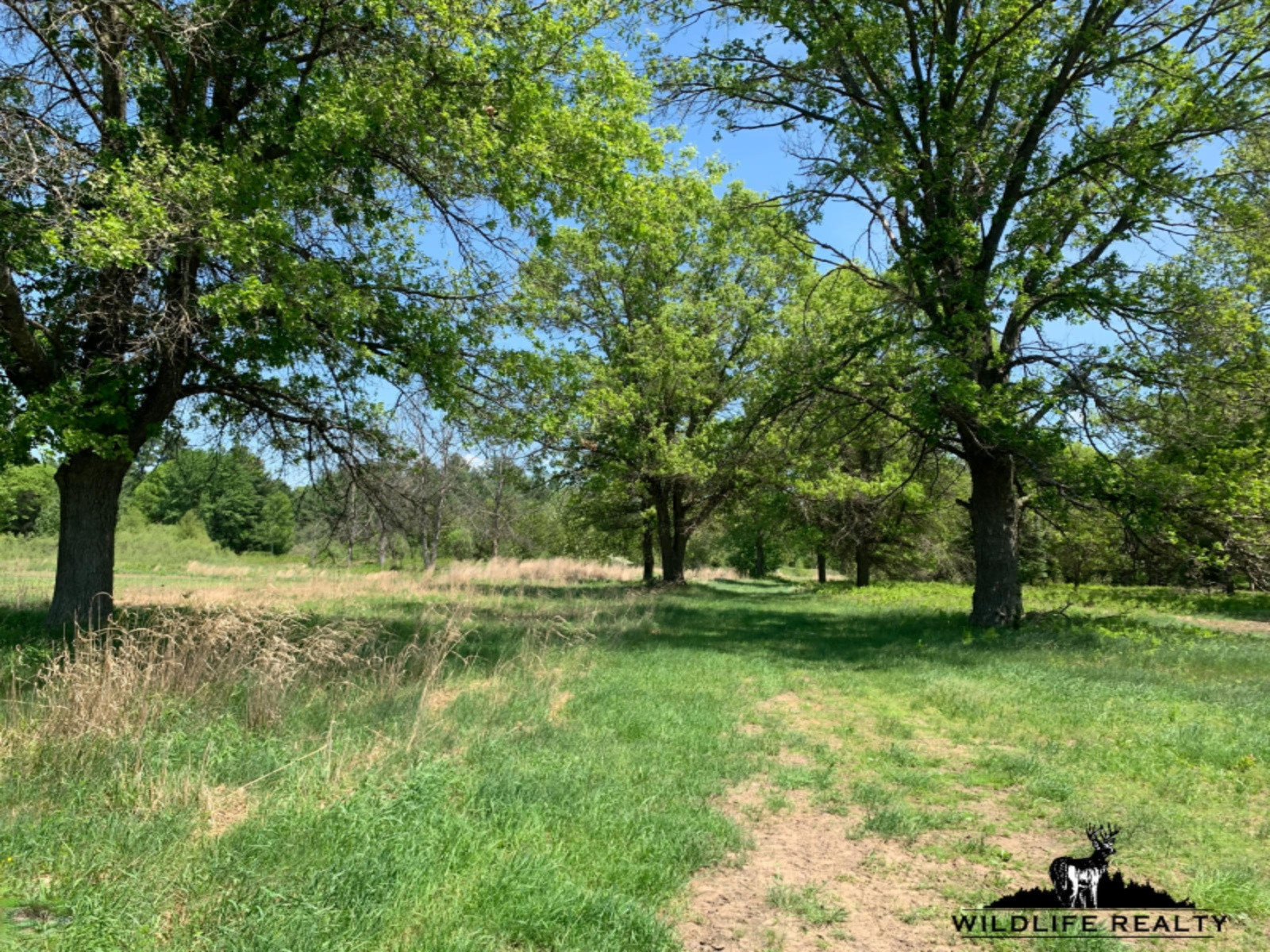 775 Sugar River Road Gladwin, MI 48624 - Photo 46 of 124 49