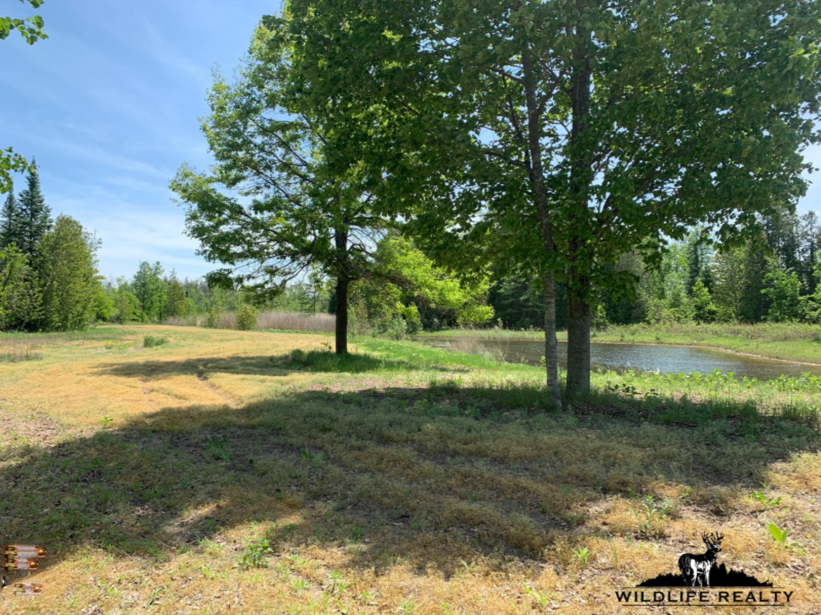 775 Sugar River Road Gladwin, MI 48624 - Photo 47 of 124 50