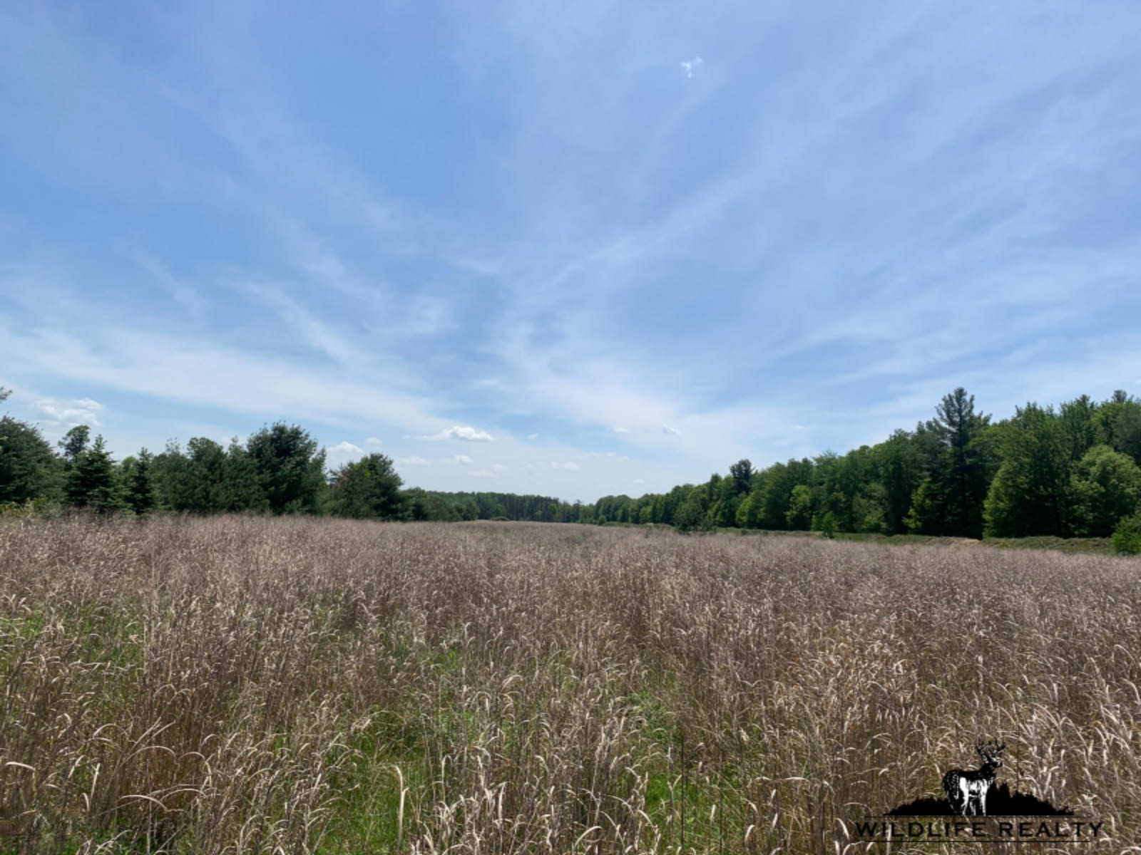 775 Sugar River Road Gladwin, MI 48624 - Photo 48 of 124 51