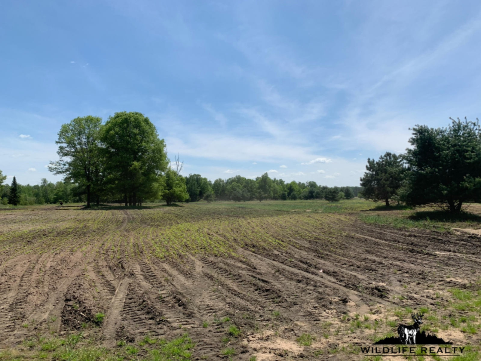 775 Sugar River Road Gladwin, MI 48624 - Photo 49 of 124 52