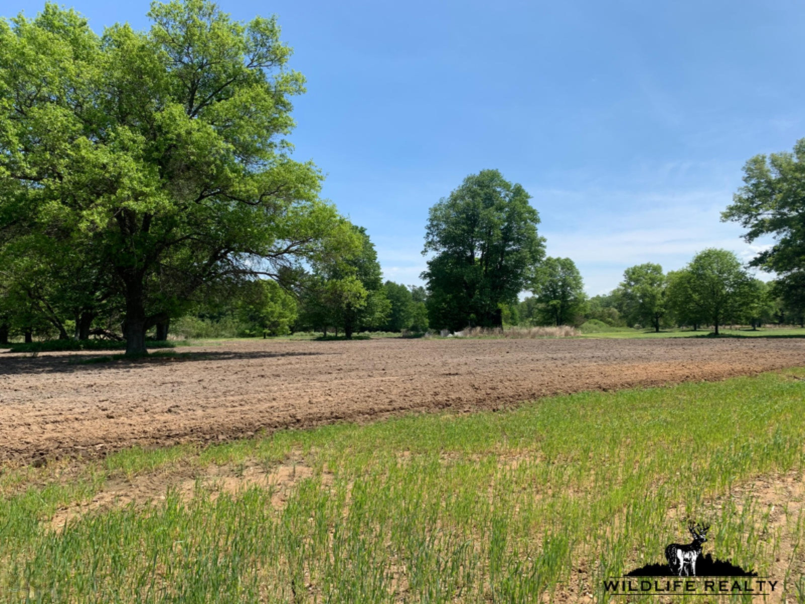 775 Sugar River Road Gladwin, MI 48624 - Photo 51 of 124 54