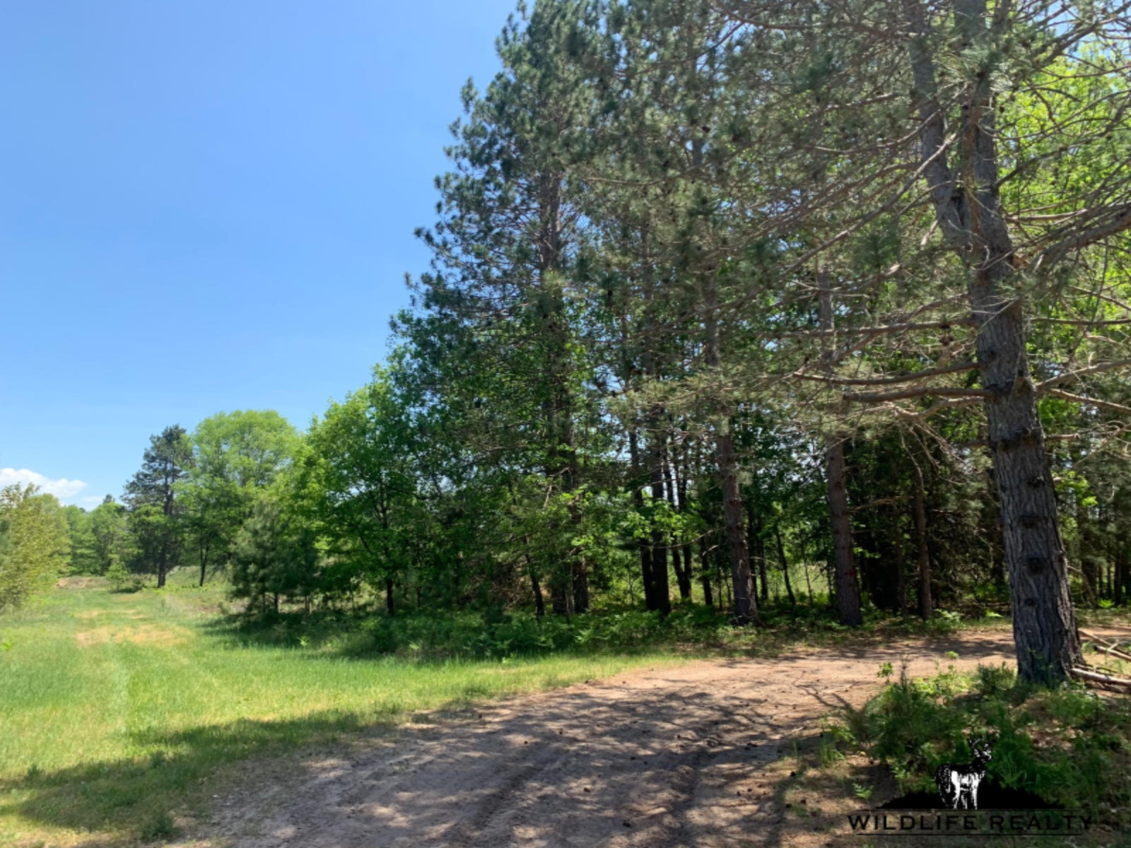 775 Sugar River Road Gladwin, MI 48624 - Photo 54 of 124 57
