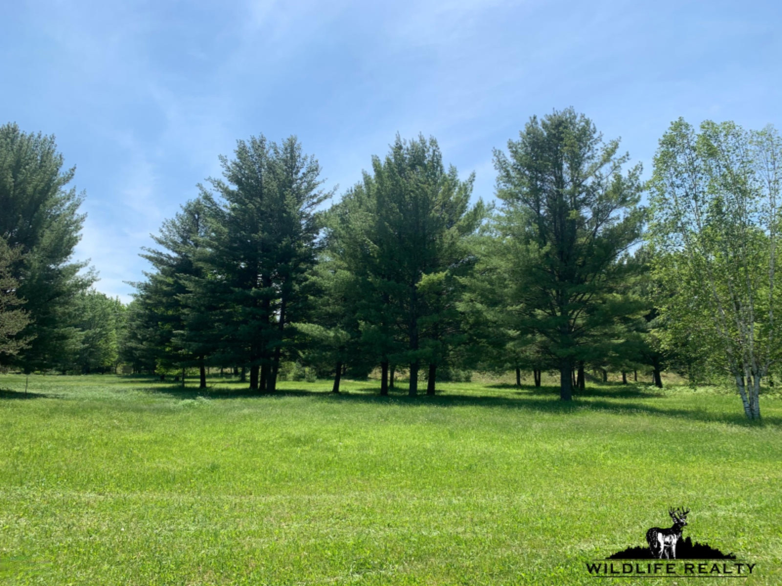 775 Sugar River Road Gladwin, MI 48624 - Photo 55 of 124 58