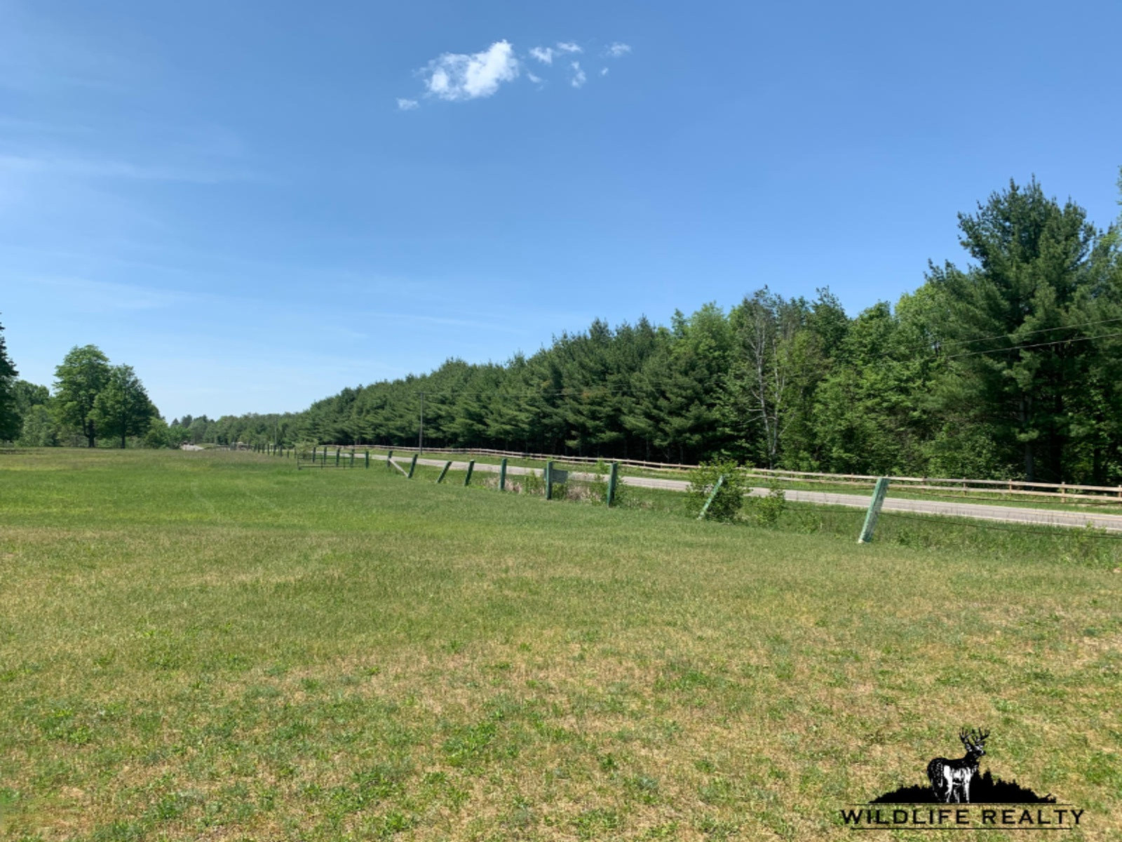 775 Sugar River Road Gladwin, MI 48624 - Photo 56 of 124 59