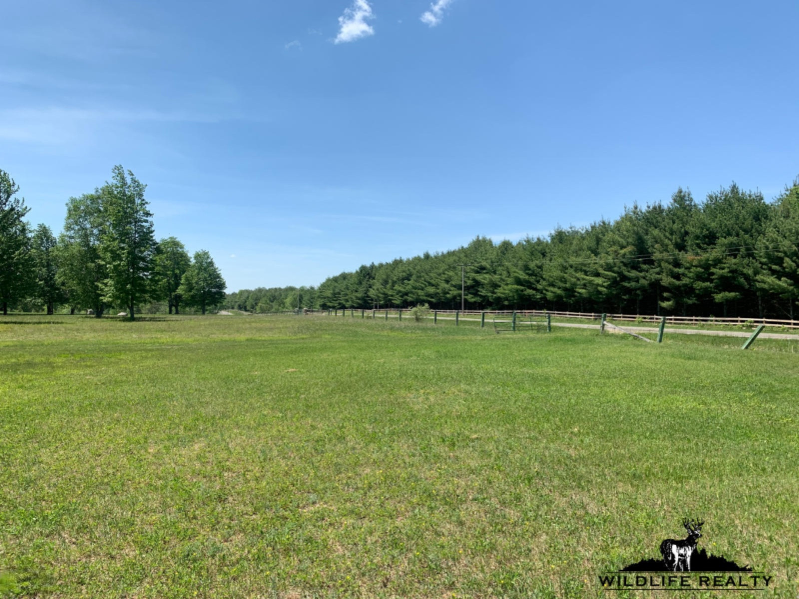 775 Sugar River Road Gladwin, MI 48624 - Photo 57 of 124 60