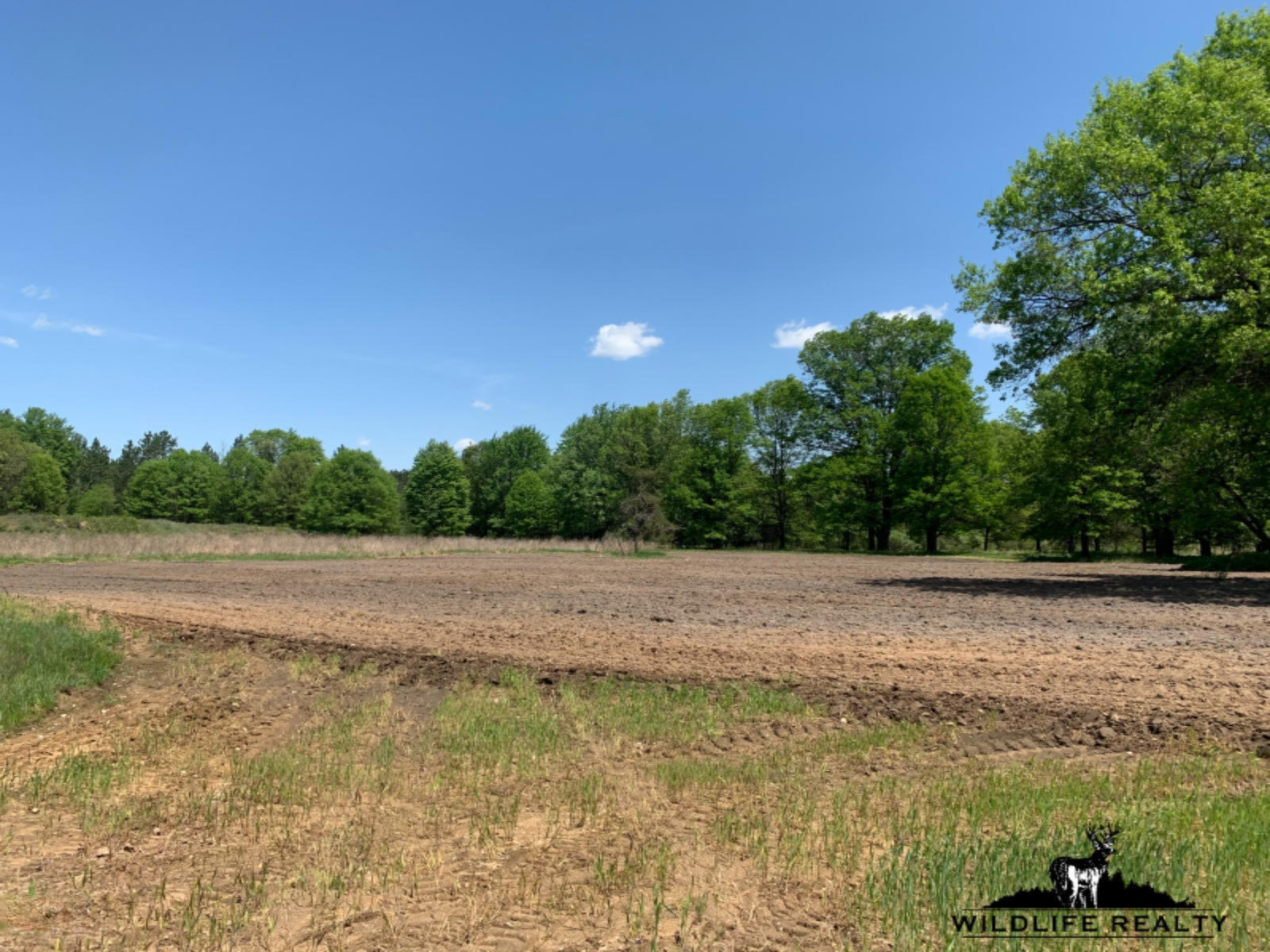 775 Sugar River Road Gladwin, MI 48624 - Photo 59 of 124 62
