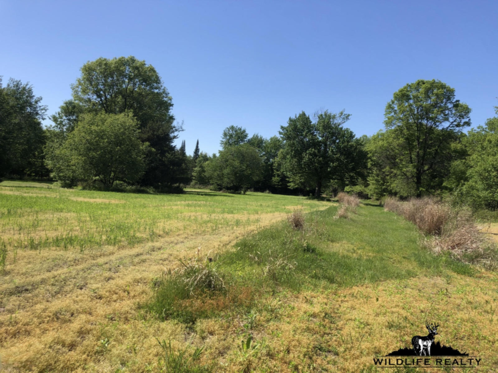 775 Sugar River Road Gladwin, MI 48624 - Photo 60 of 124 63