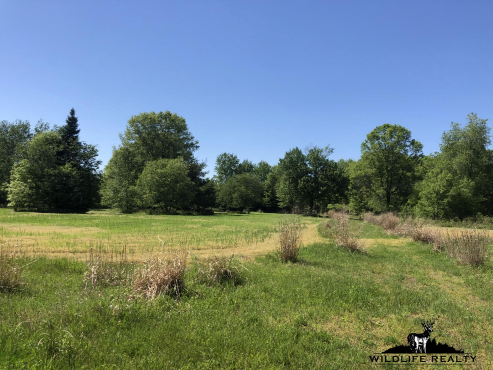 775 Sugar River Road Gladwin, MI 48624 - Photo 61 of 124 64