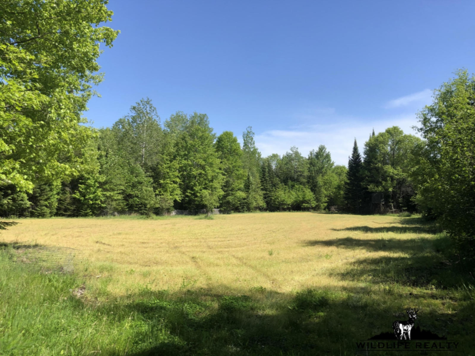 775 Sugar River Road Gladwin, MI 48624 - Photo 64 of 124 67