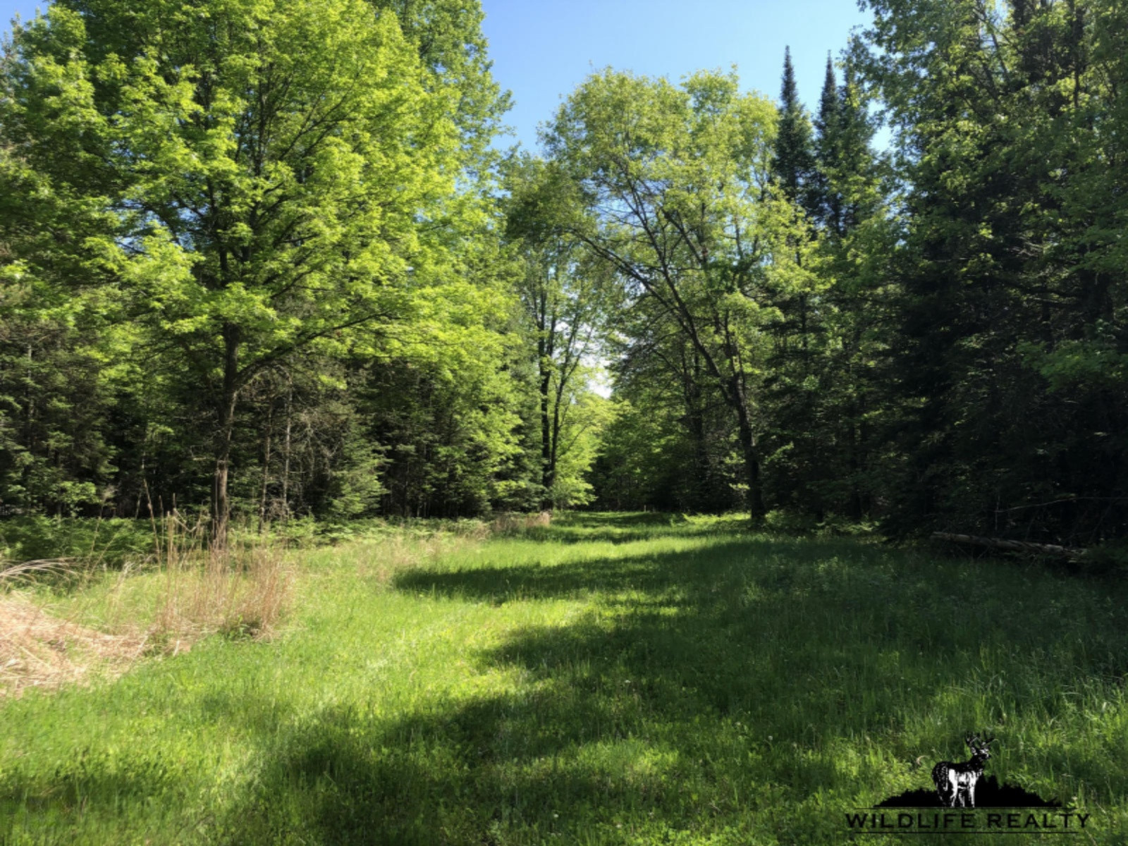 775 Sugar River Road Gladwin, MI 48624 - Photo 65 of 124 68