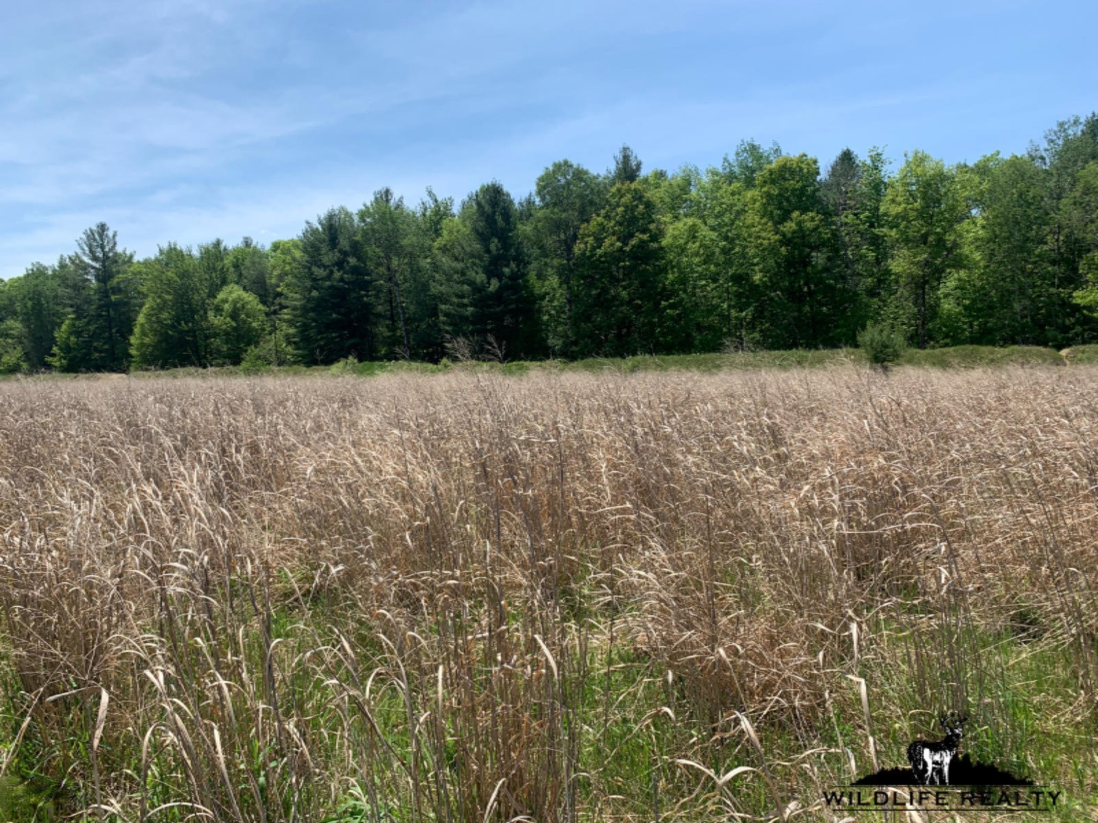 775 Sugar River Road Gladwin, MI 48624 - Photo 66 of 124 69