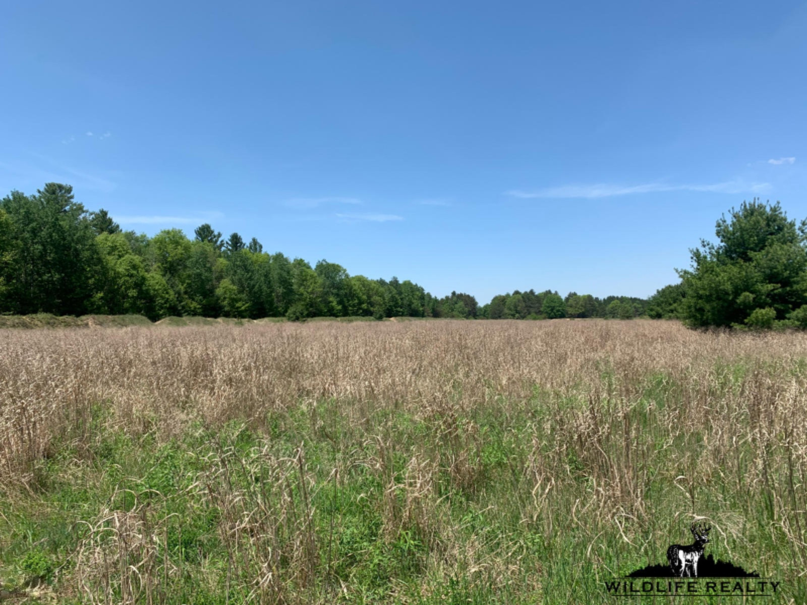 775 Sugar River Road Gladwin, MI 48624 - Photo 67 of 124 70