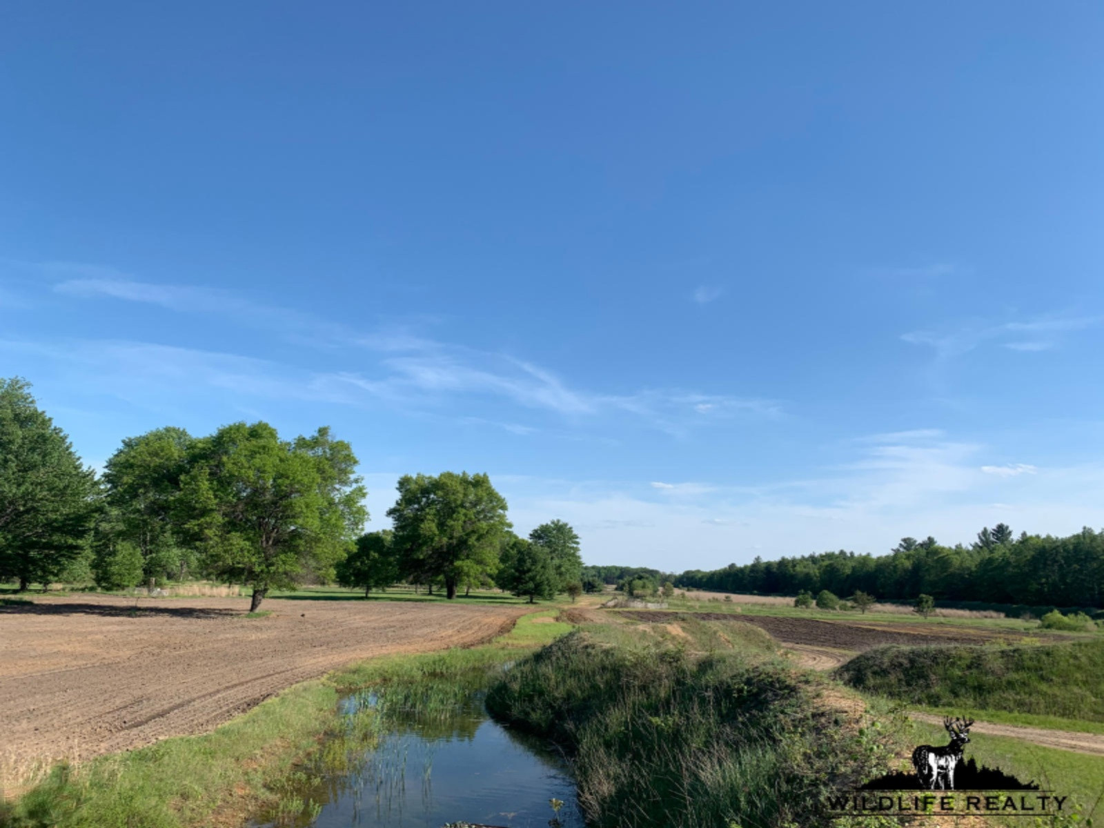 775 Sugar River Road Gladwin, MI 48624 - Photo 68 of 124 71