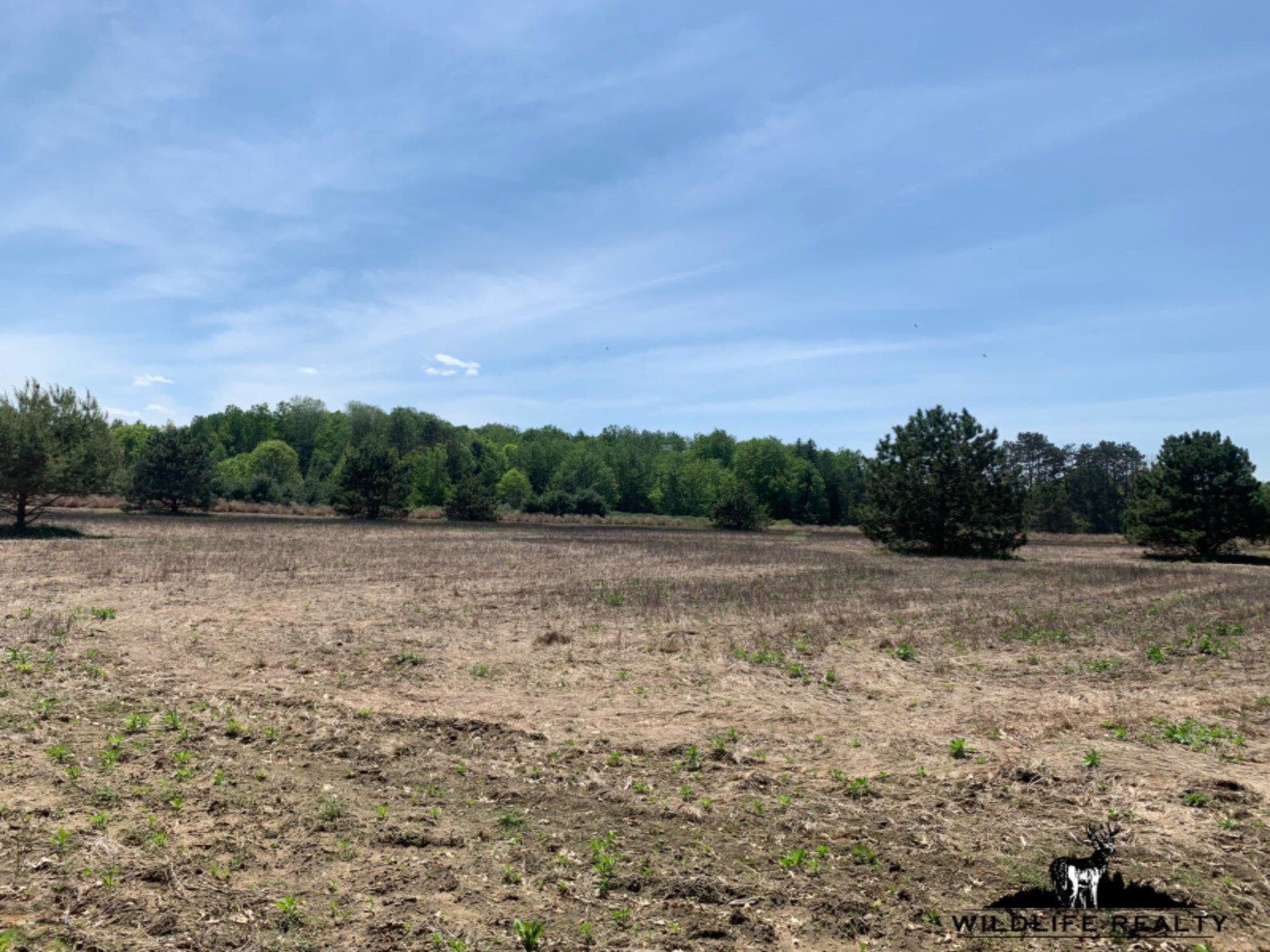 775 Sugar River Road Gladwin, MI 48624 - Photo 69 of 124 73