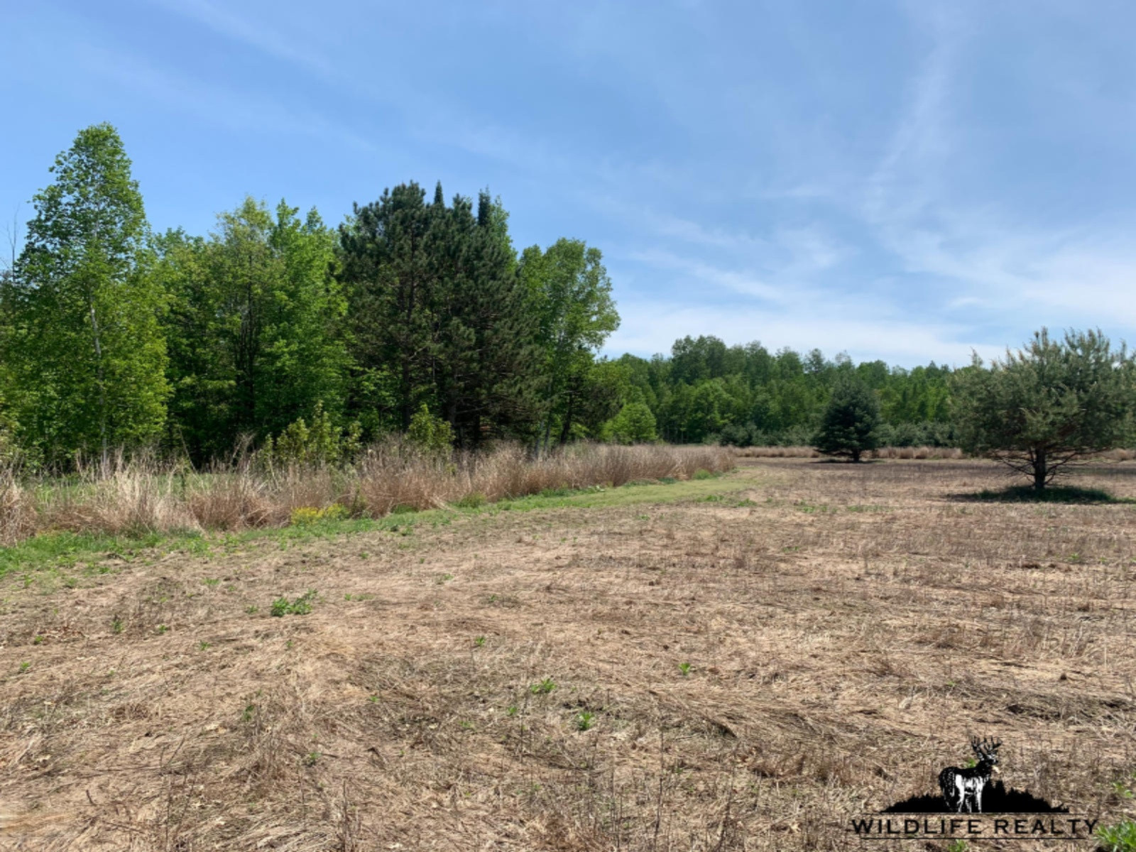 775 Sugar River Road Gladwin, MI 48624 - Photo 71 of 124 75