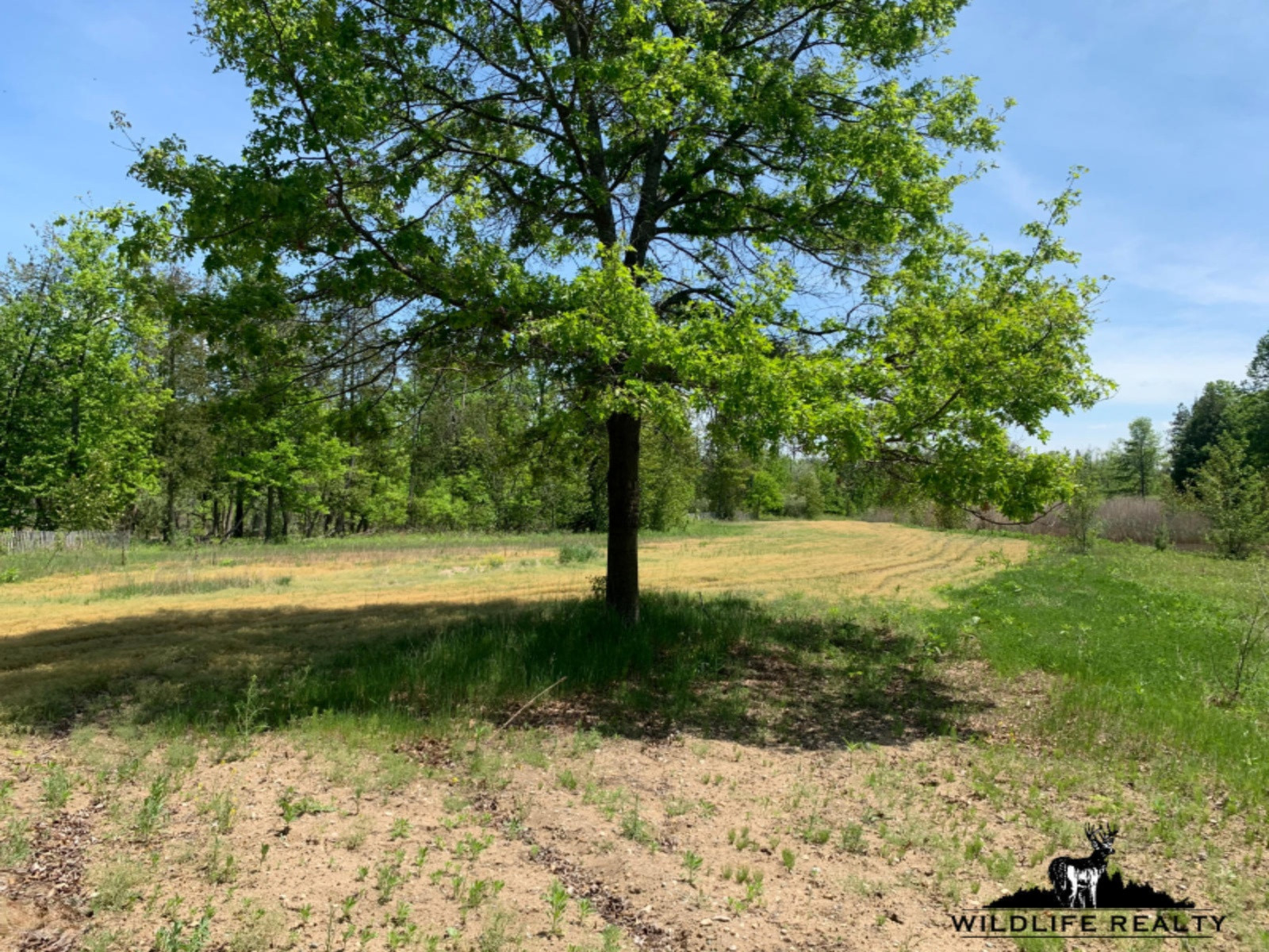 775 Sugar River Road Gladwin, MI 48624 - Photo 72 of 124 76