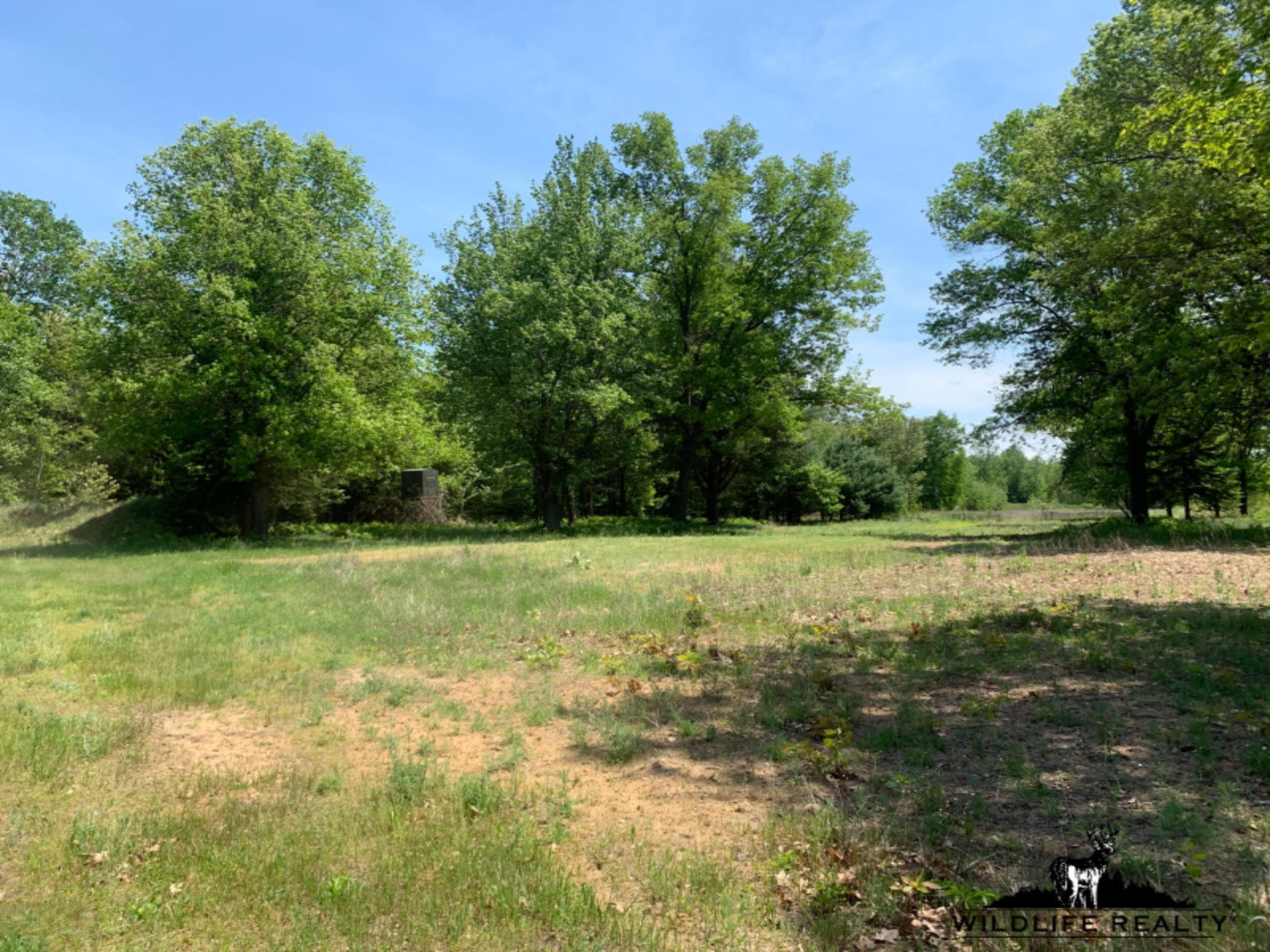 775 Sugar River Road Gladwin, MI 48624 - Photo 74 of 124 78
