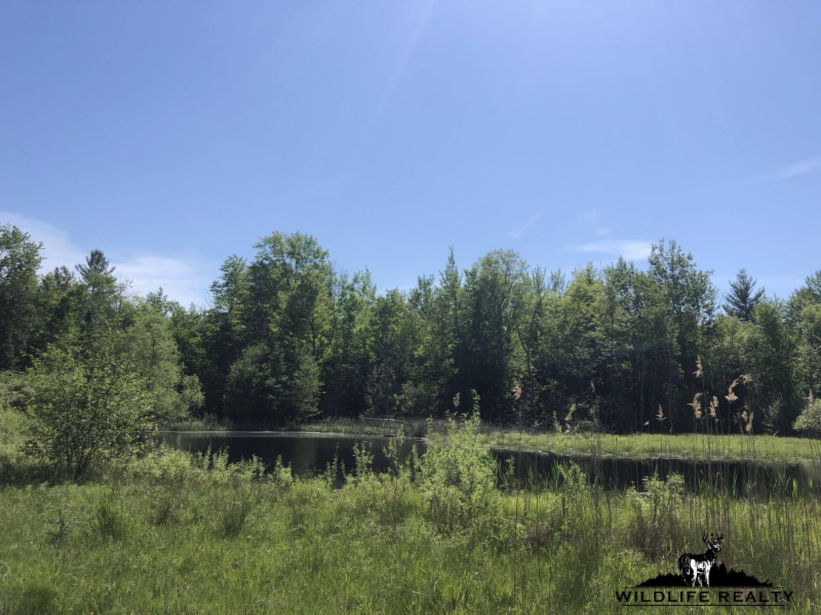 775 Sugar River Road Gladwin, MI 48624 - Photo 80 of 124 84