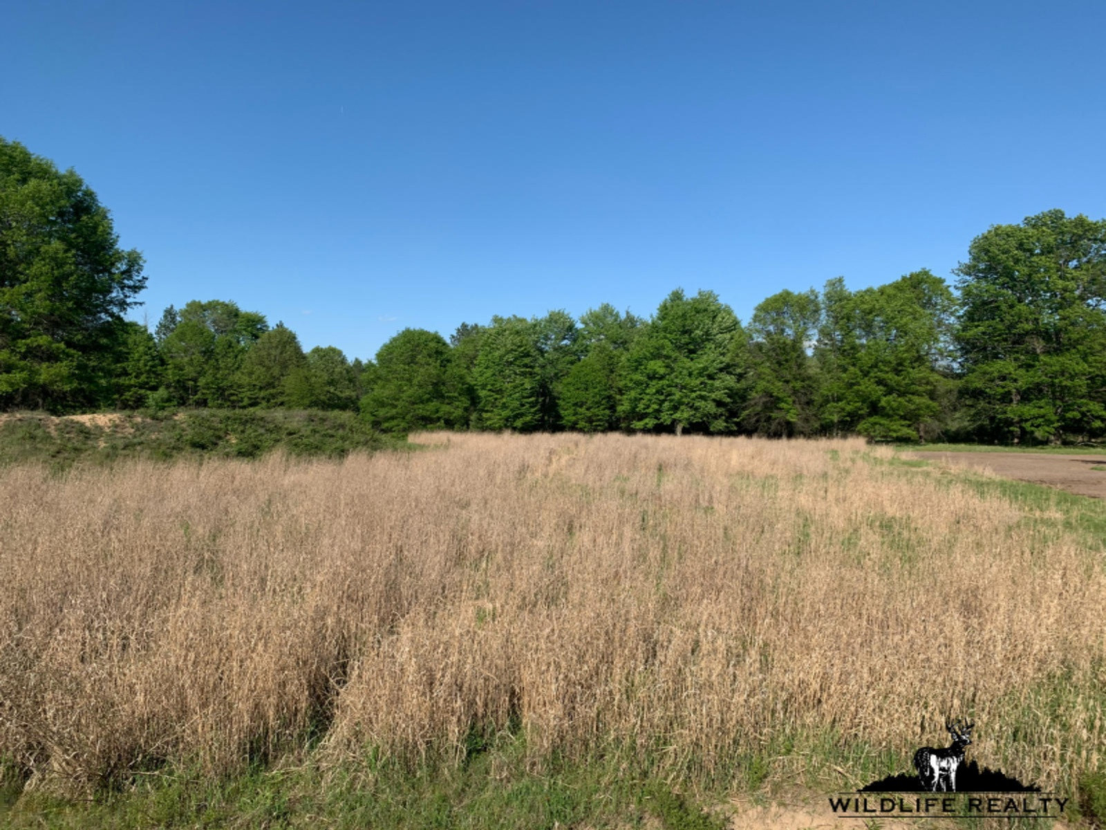 775 Sugar River Road Gladwin, MI 48624 - Photo 81 of 124 85