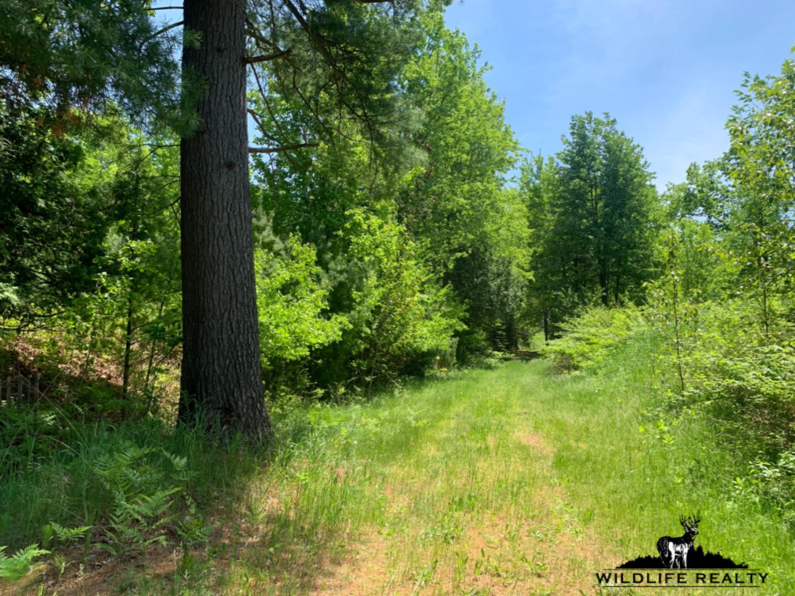 775 Sugar River Road Gladwin, MI 48624 - Photo 82 of 124 86