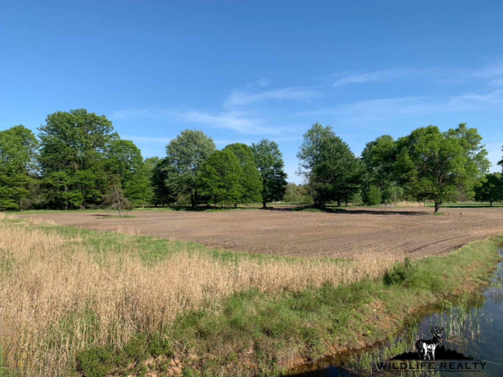 775 Sugar River Road Gladwin, MI 48624 - Photo 83 of 124 87